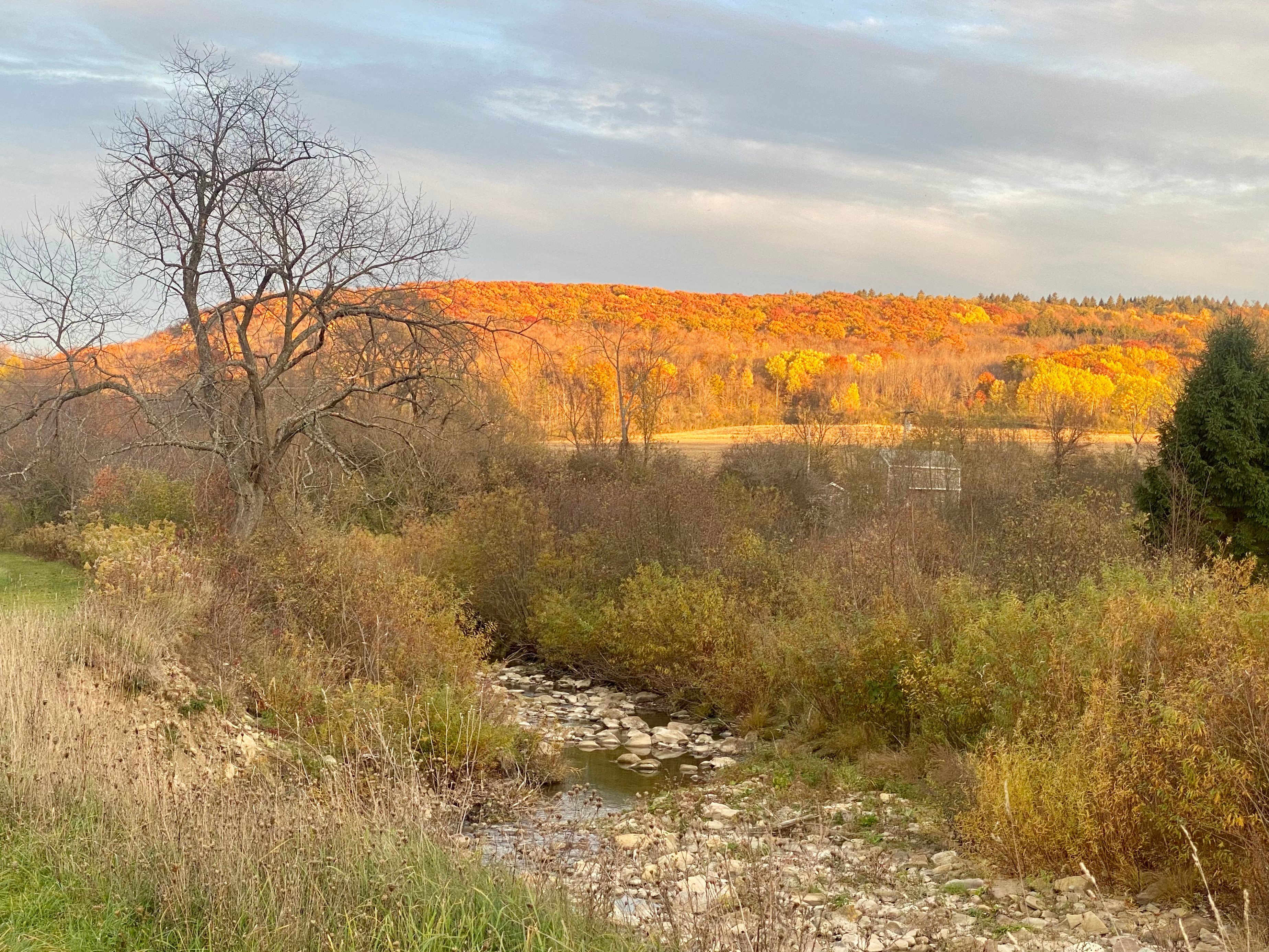 Beautiful autumn colors as seen from the site.