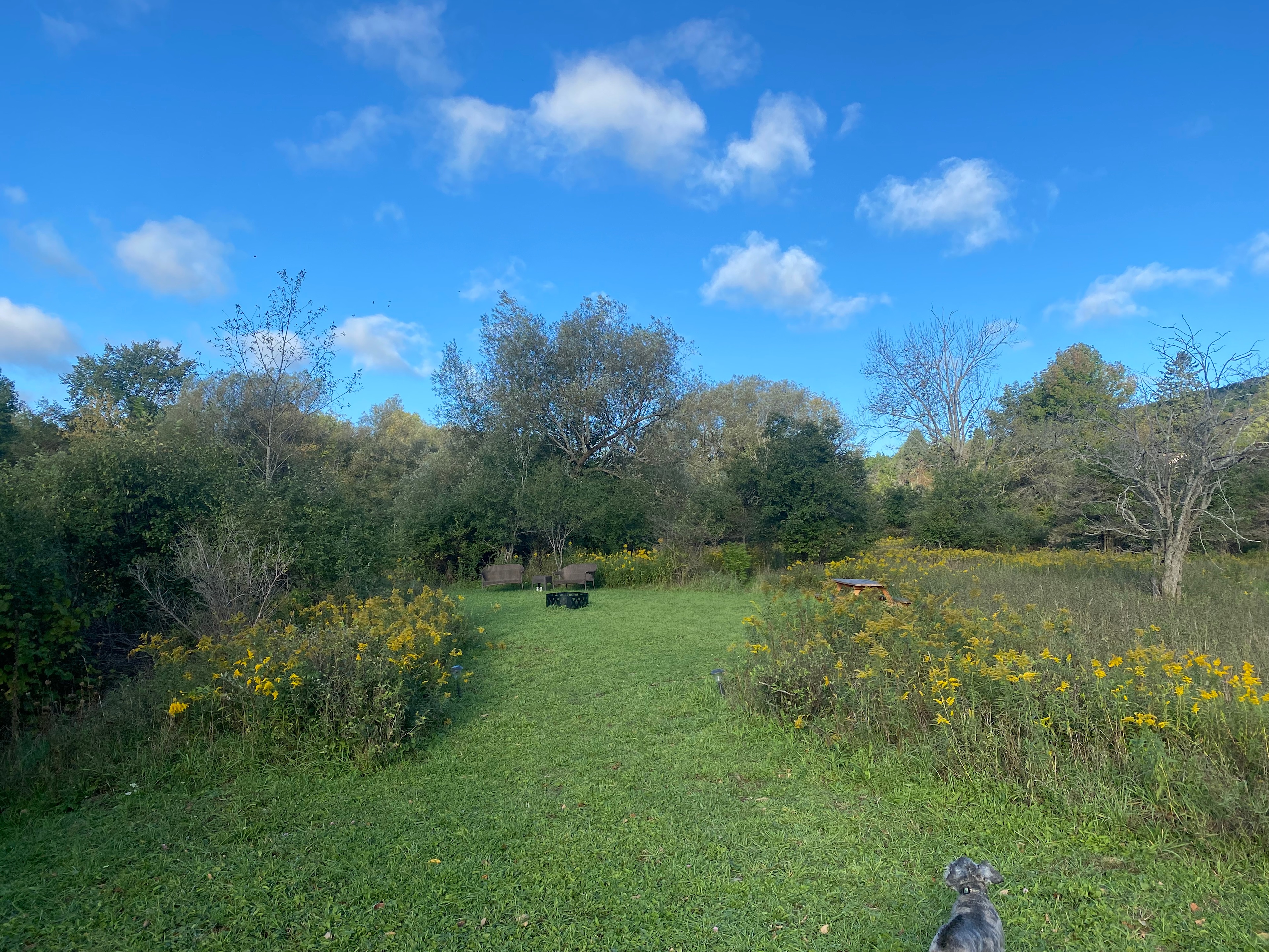 This is the western tent site and has a fire ring, a bench for 2 and a picnic table.
