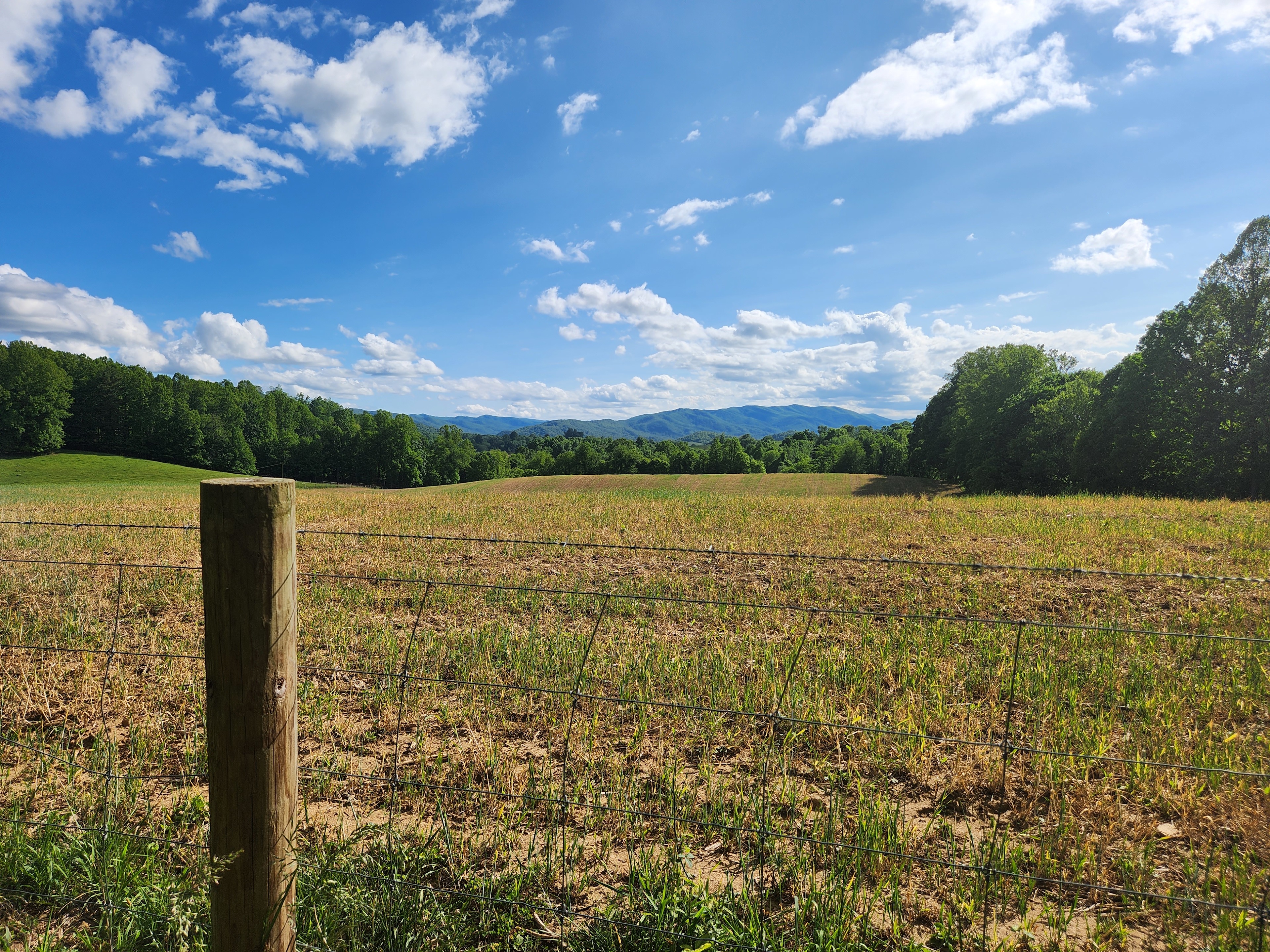 Secluded Farm Camp near Damascus VA