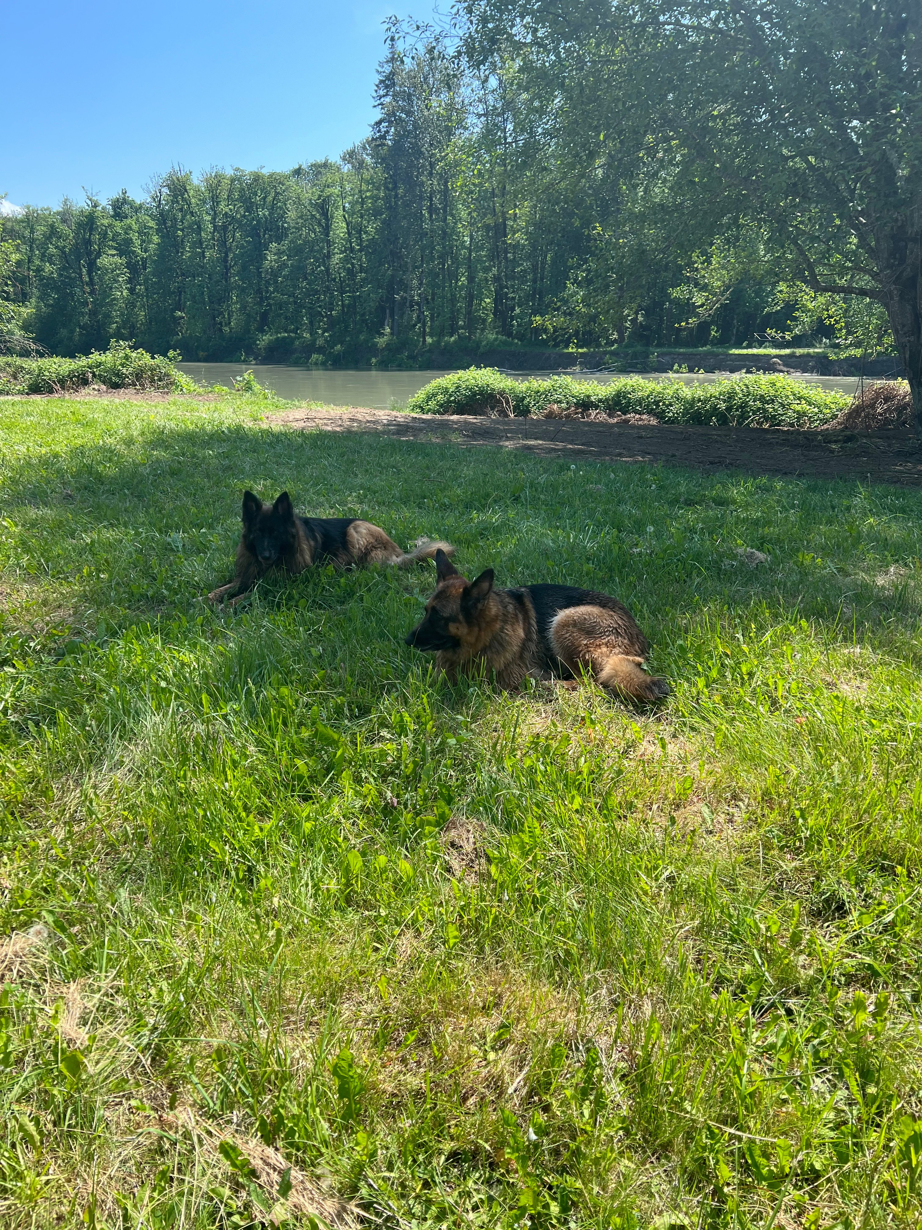 Cowlitz River Rentals