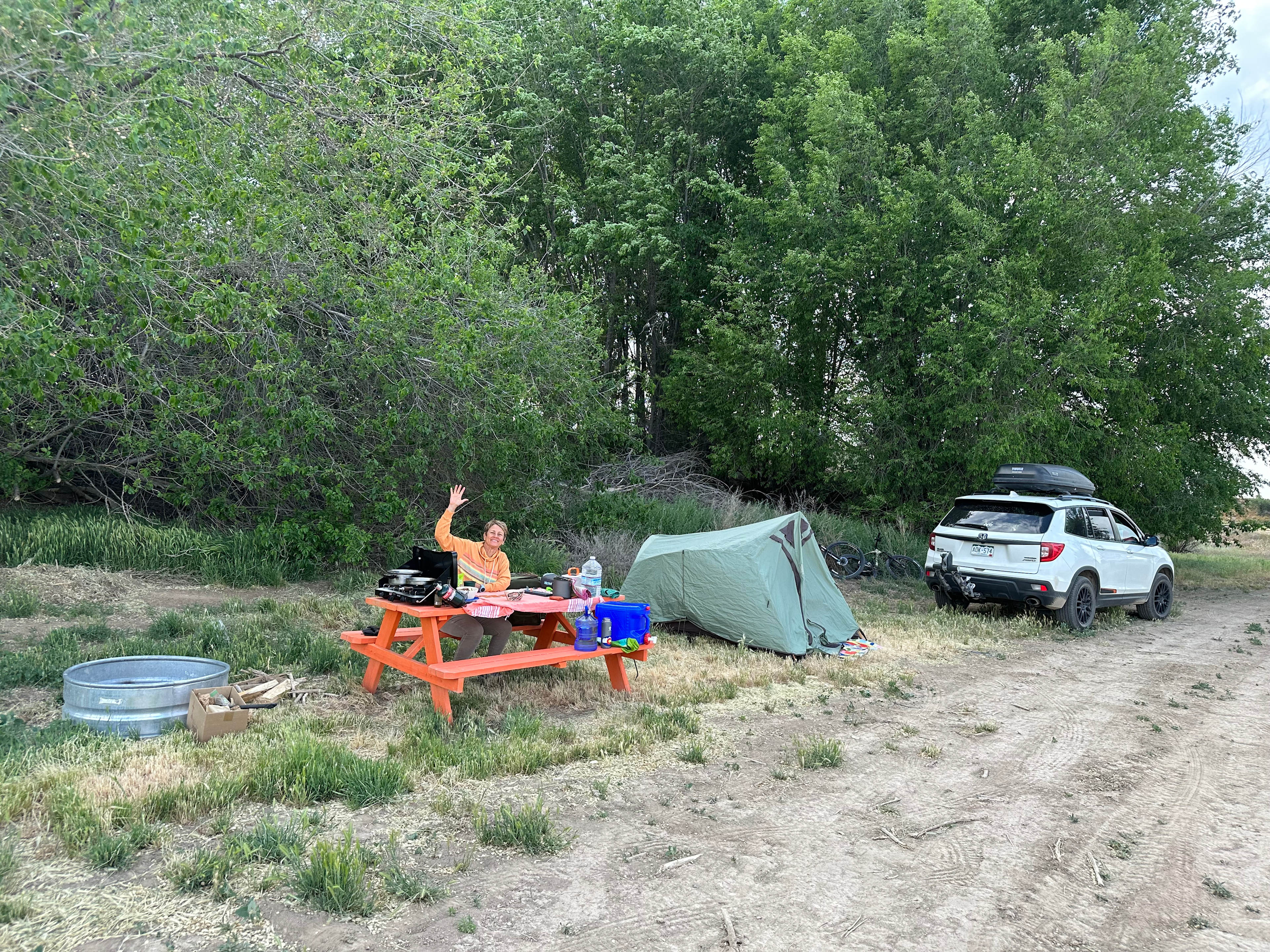 Desert camping views and wildlife