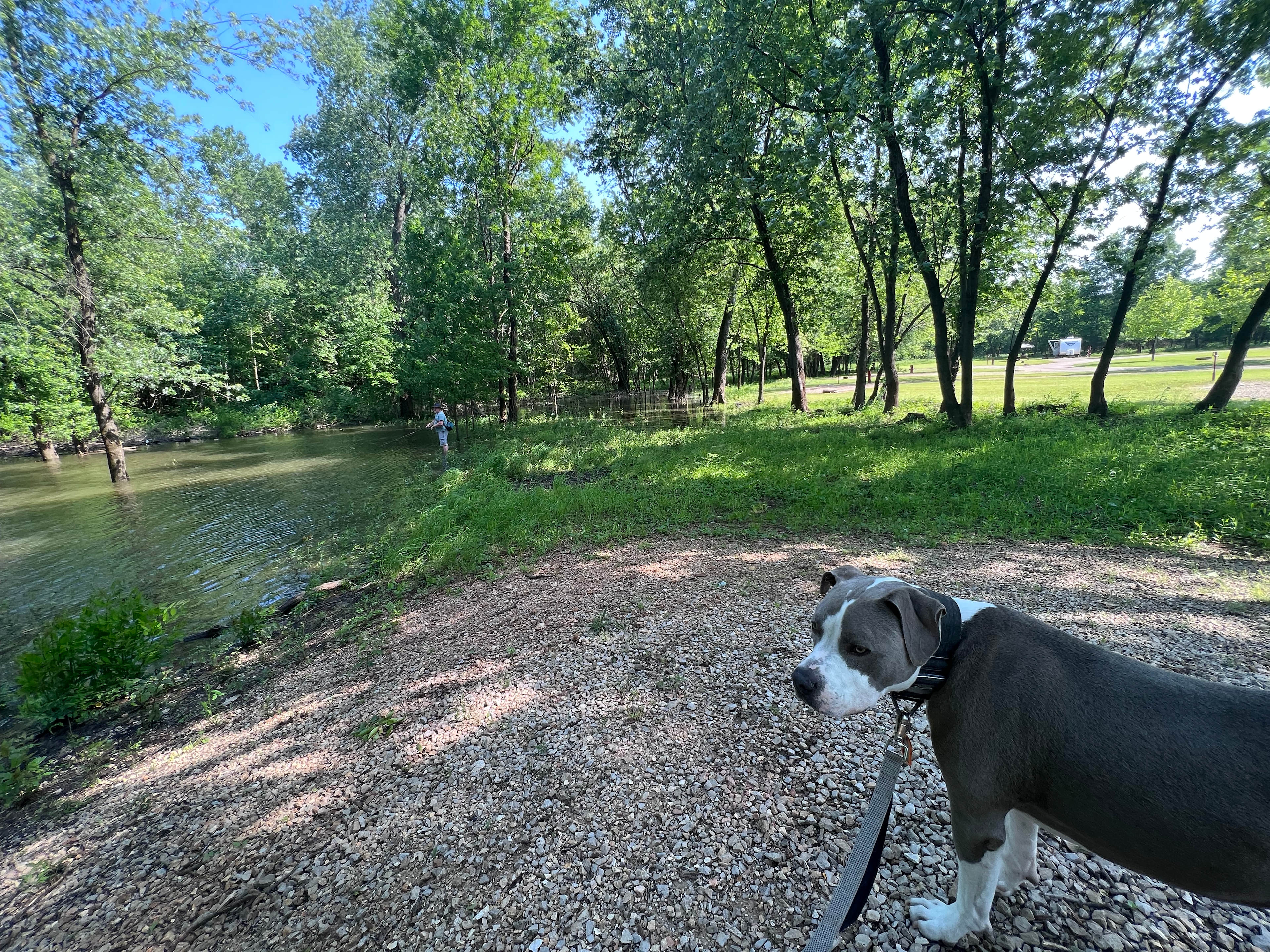 The Holliday Landing on the Lake