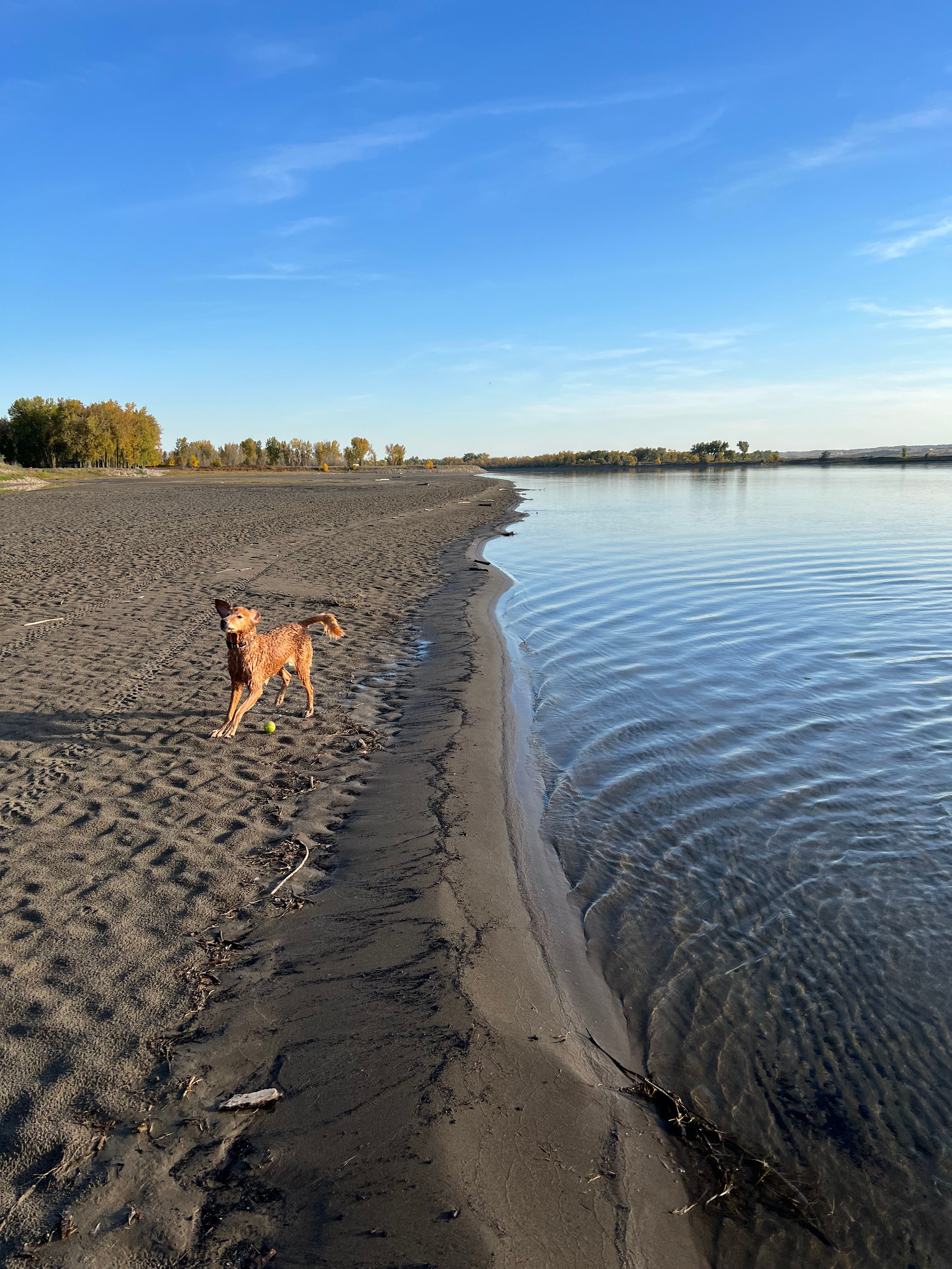 accessible sand bar along the Missouri River