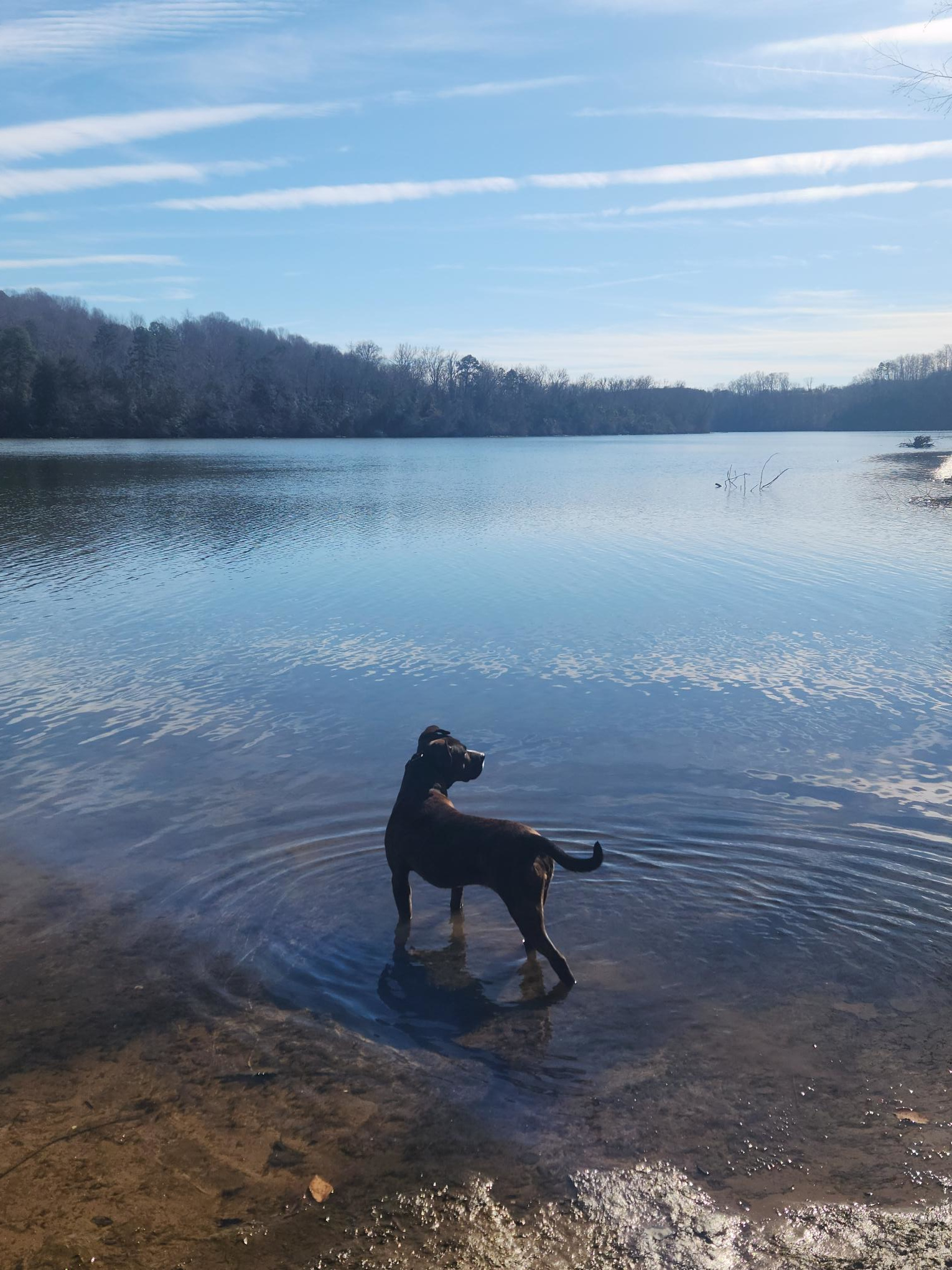 Lake Lookout Campground