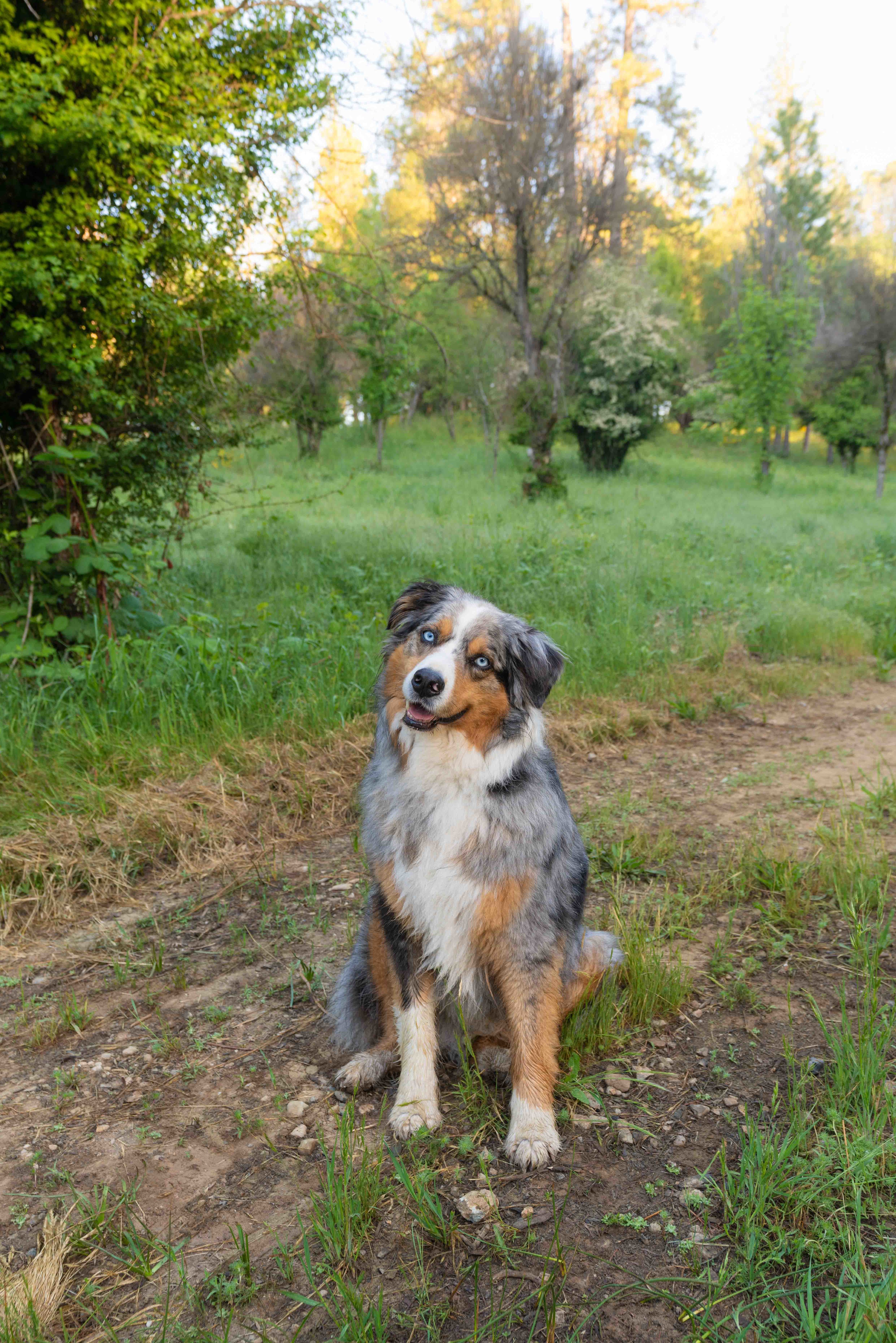 My best bud loved his stay