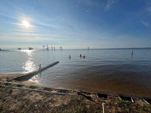 This is looking at the Albemarle Sound from Campsite #1.