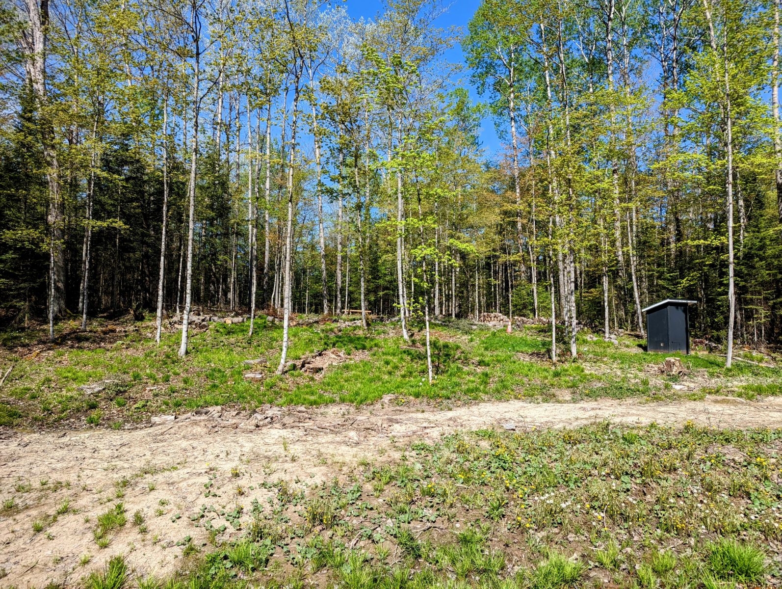 Off Grid Dark Sky River Retreat