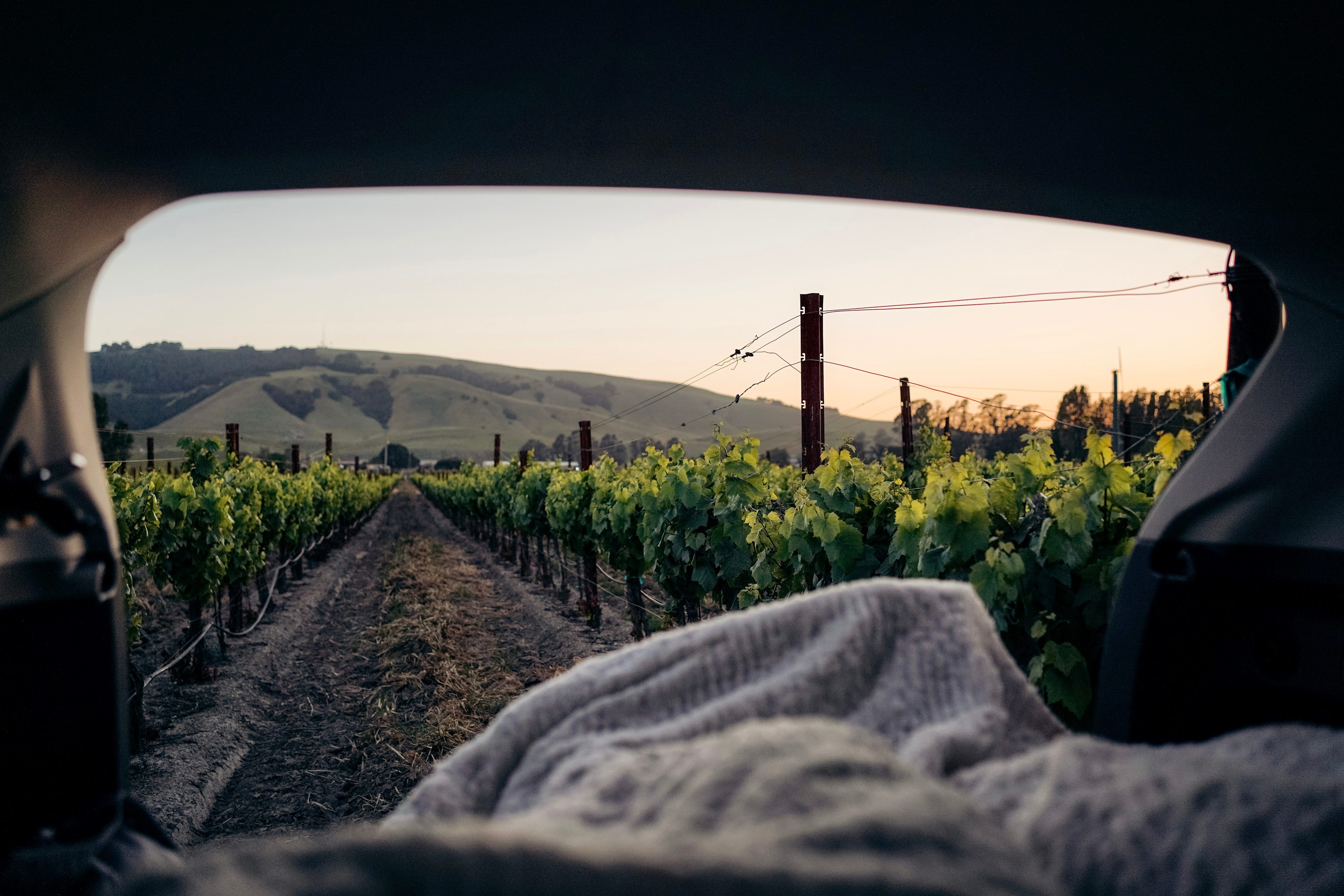 relaxing in our car on the vinyard