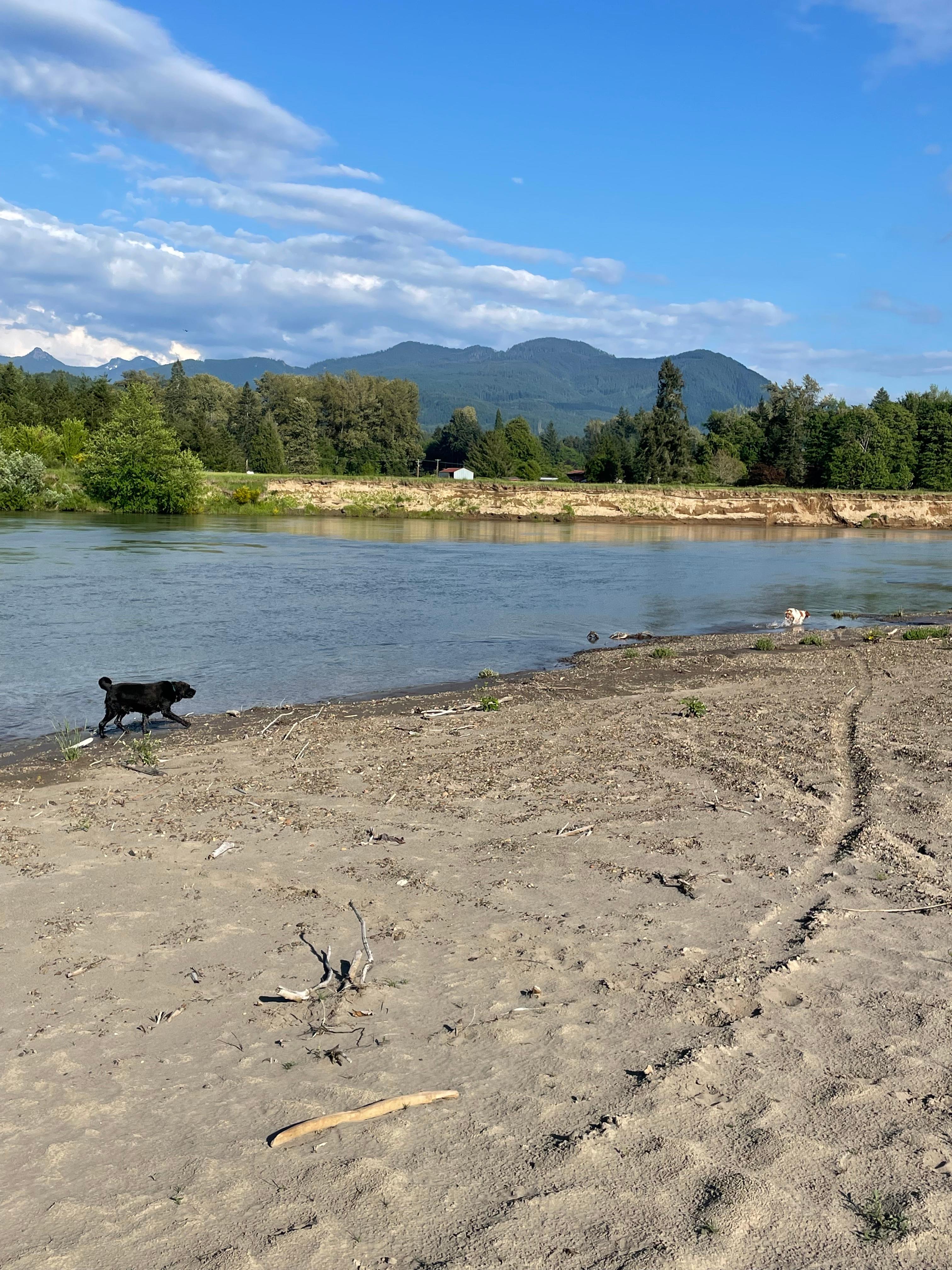 Cowlitz River Rentals