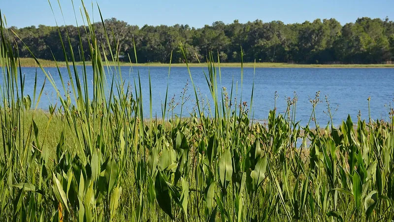 Colt Creek State Park Glamping