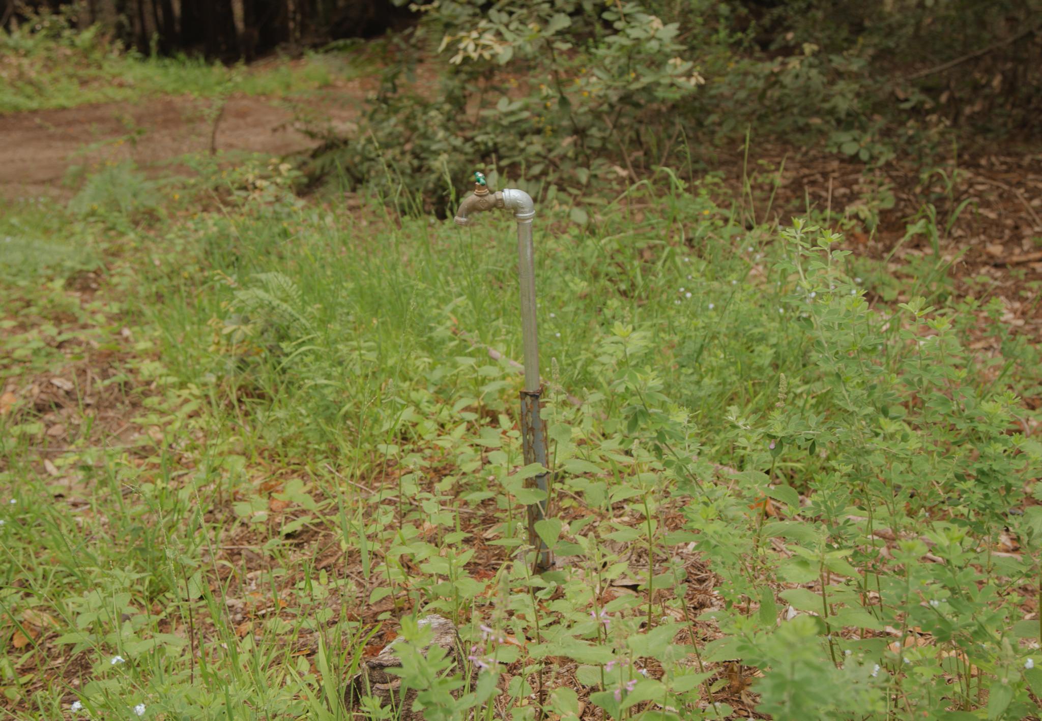 Water Tent Site #1