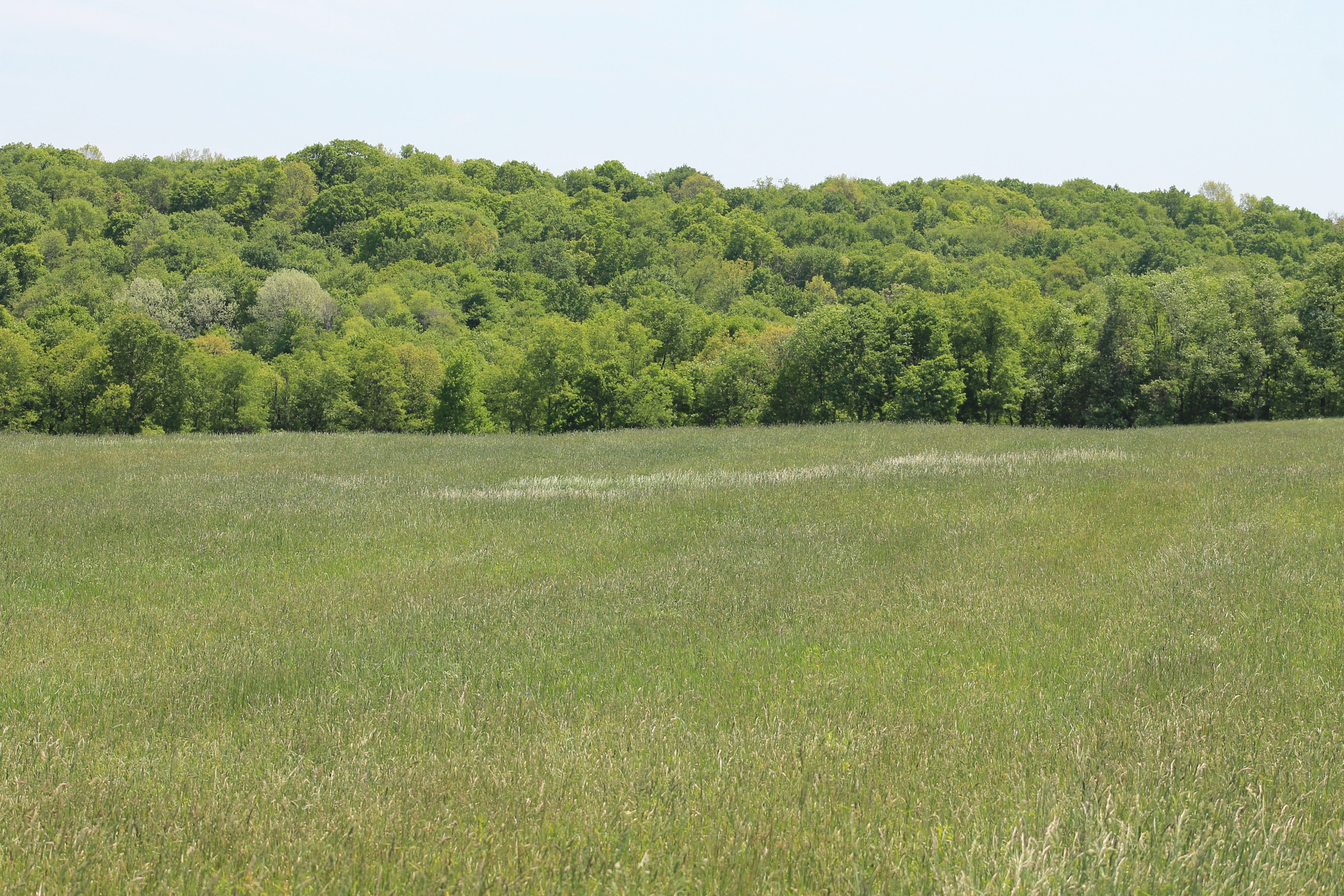Firm Foundation Farm