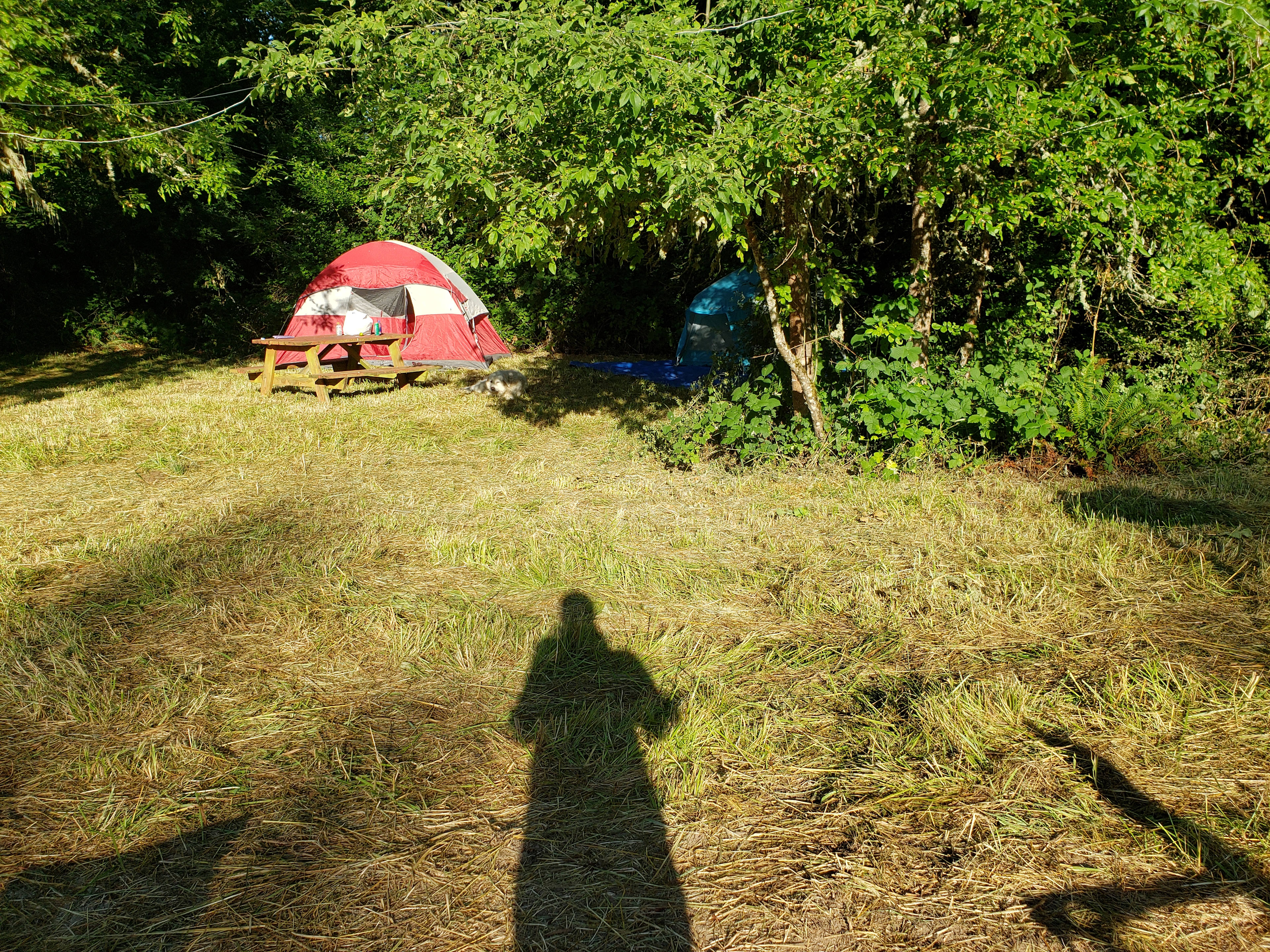 Circle C Farm
