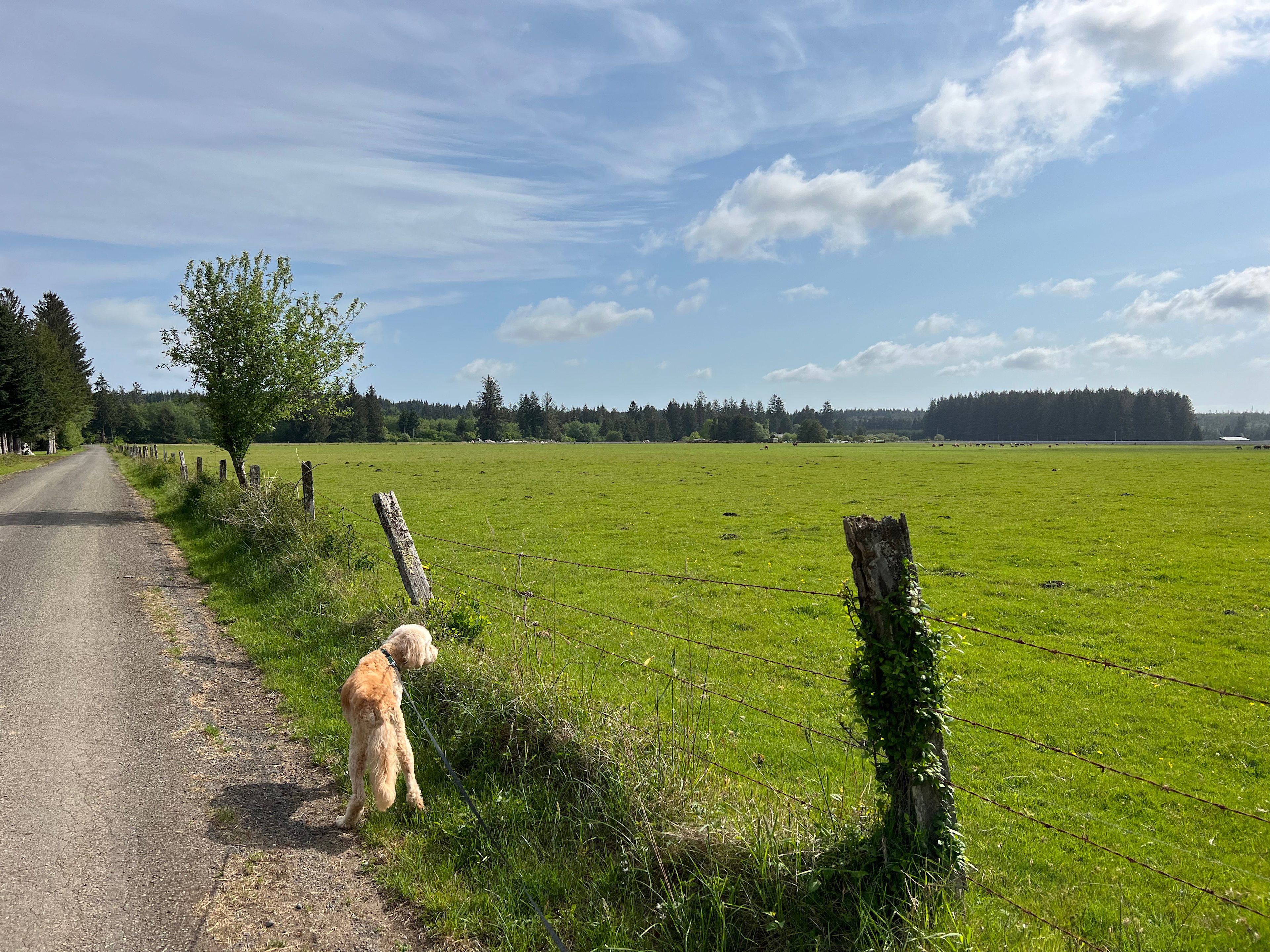 Paved roads all the way to the campground. No 4-wheel drive required. 