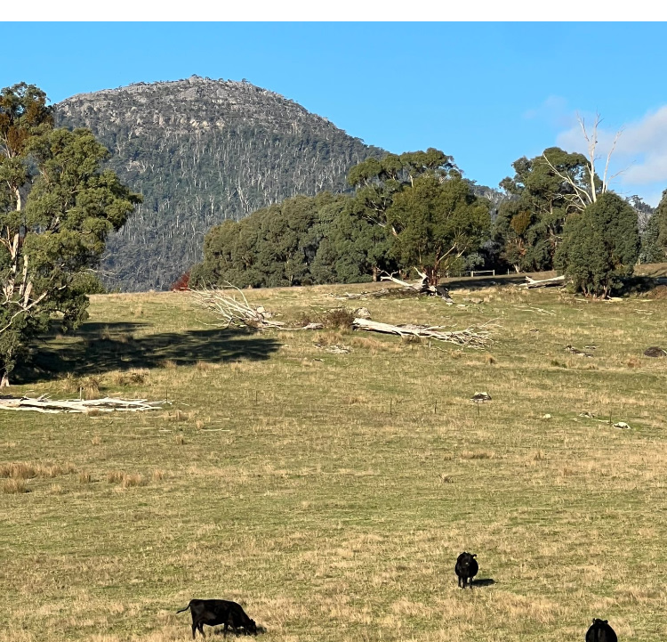 Cathedral Views Campsite