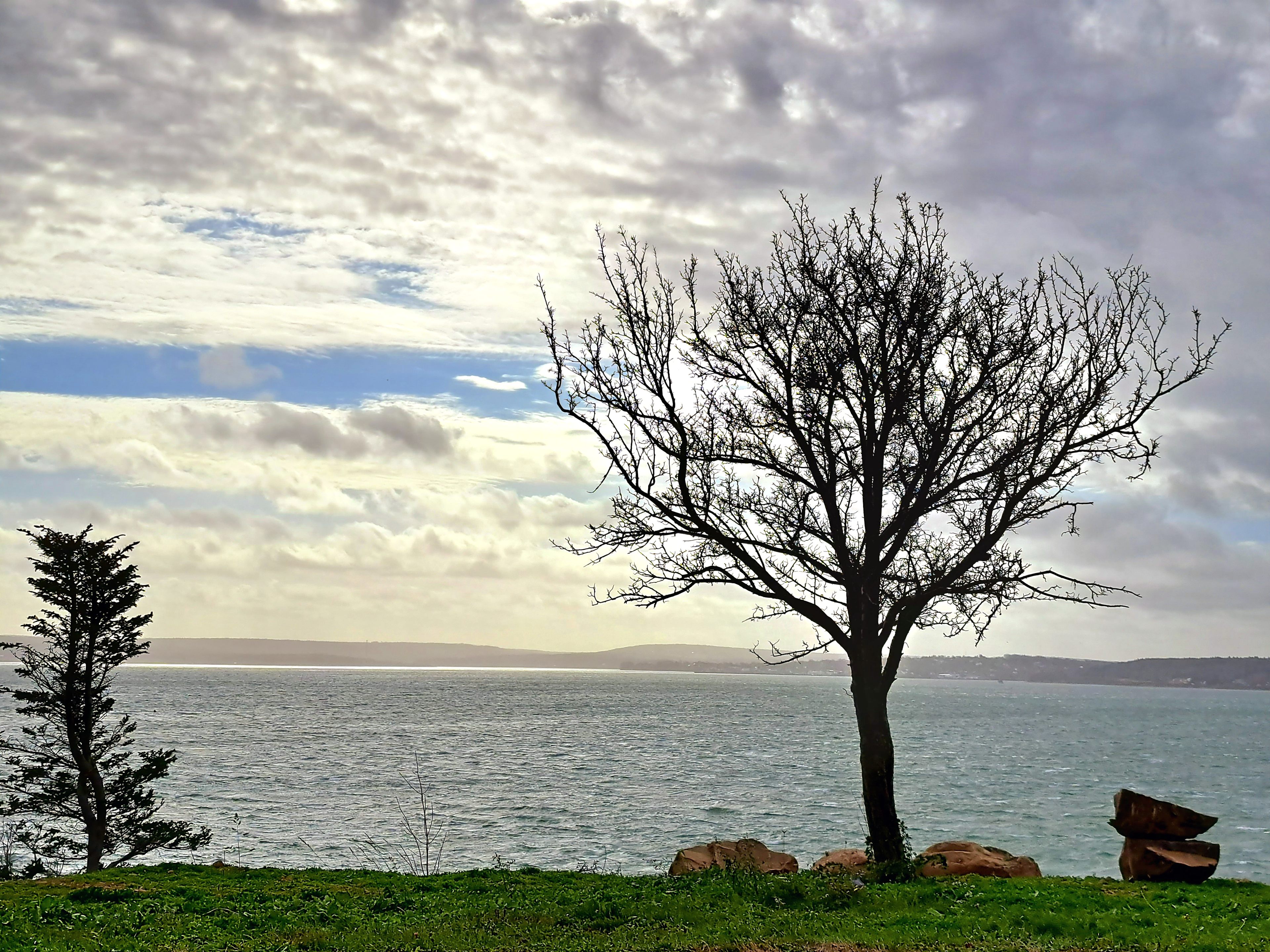 The lookout at McWinnie's Point. 