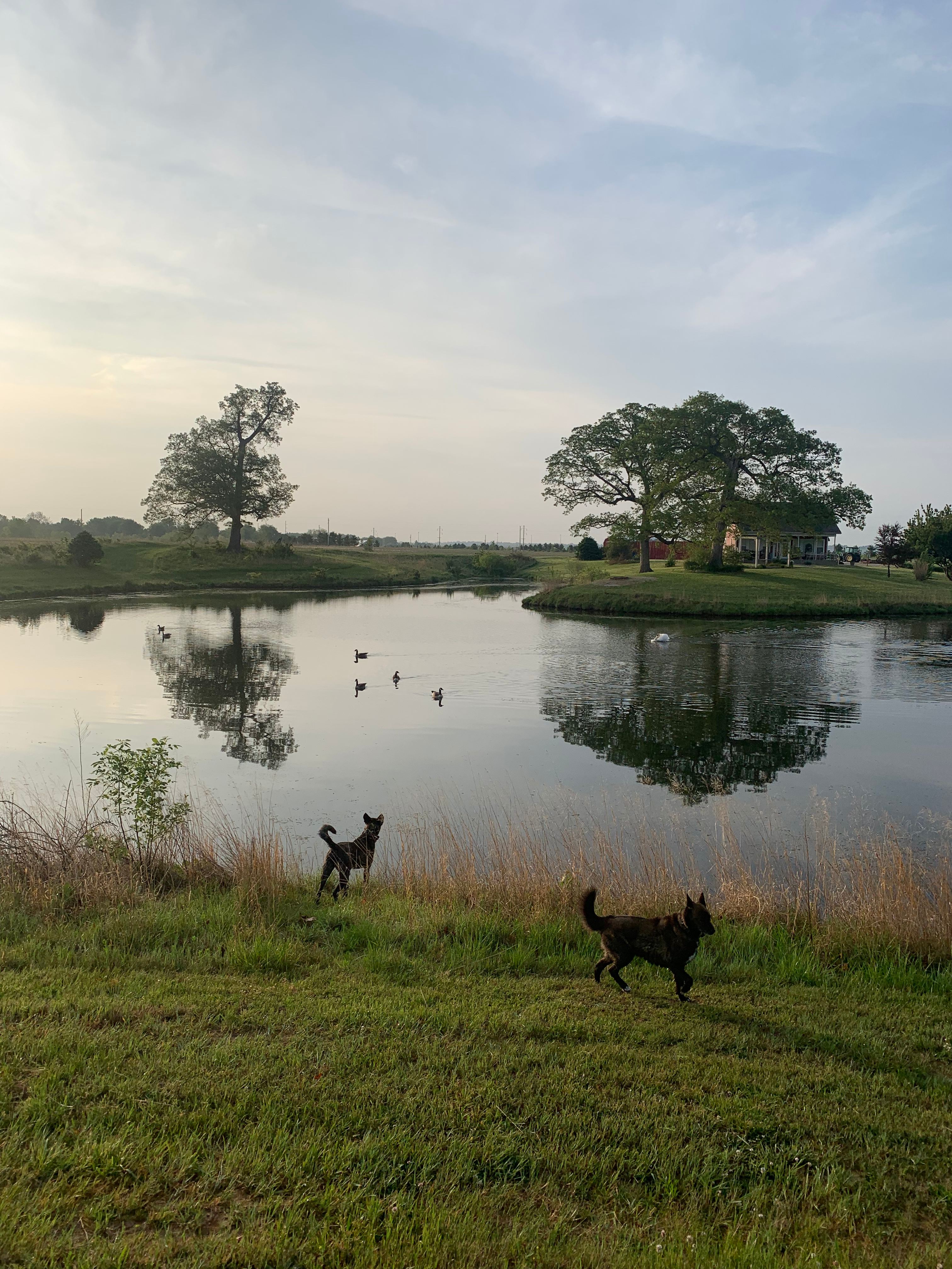 Buena Vista Farms