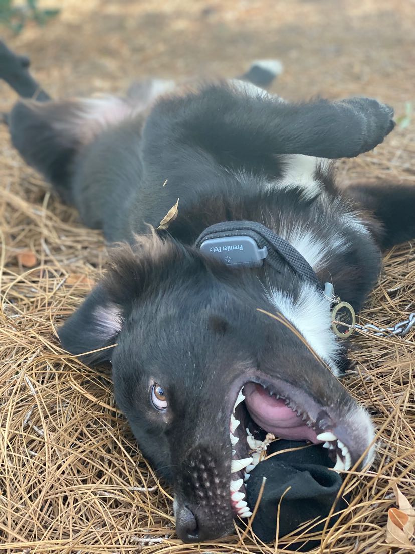 The Neature Preserve