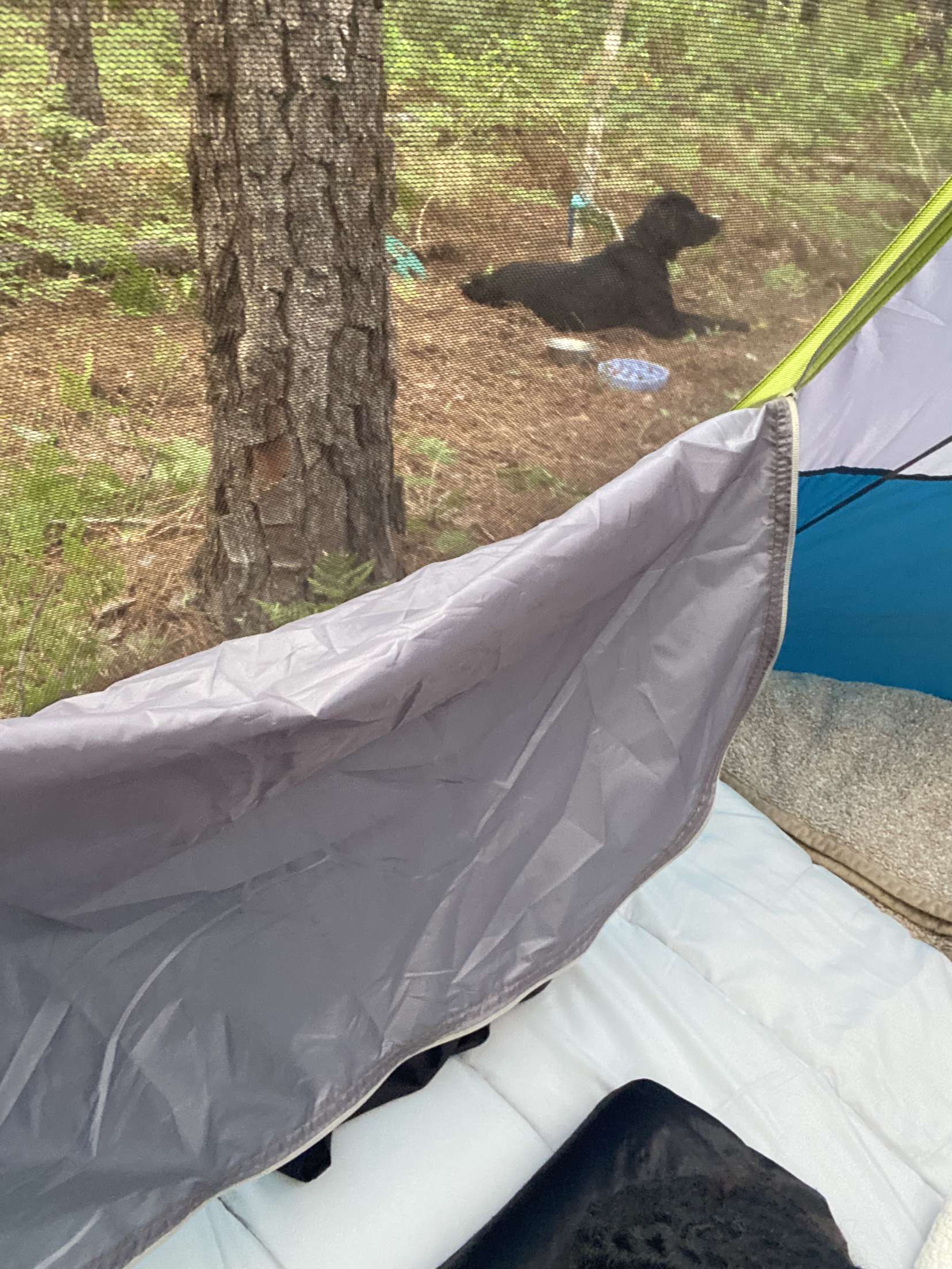 The Neature Preserve