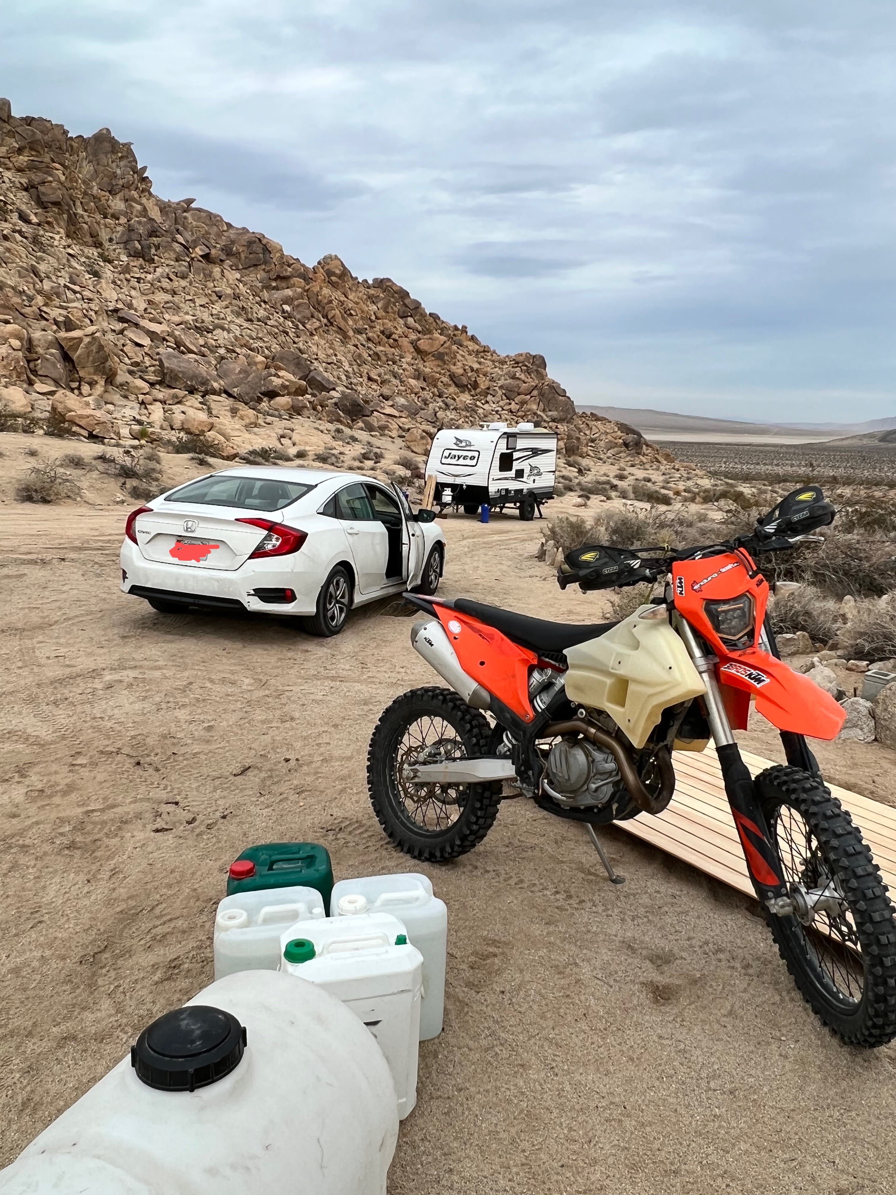 Xbone's Desert Life | Mojave Desert