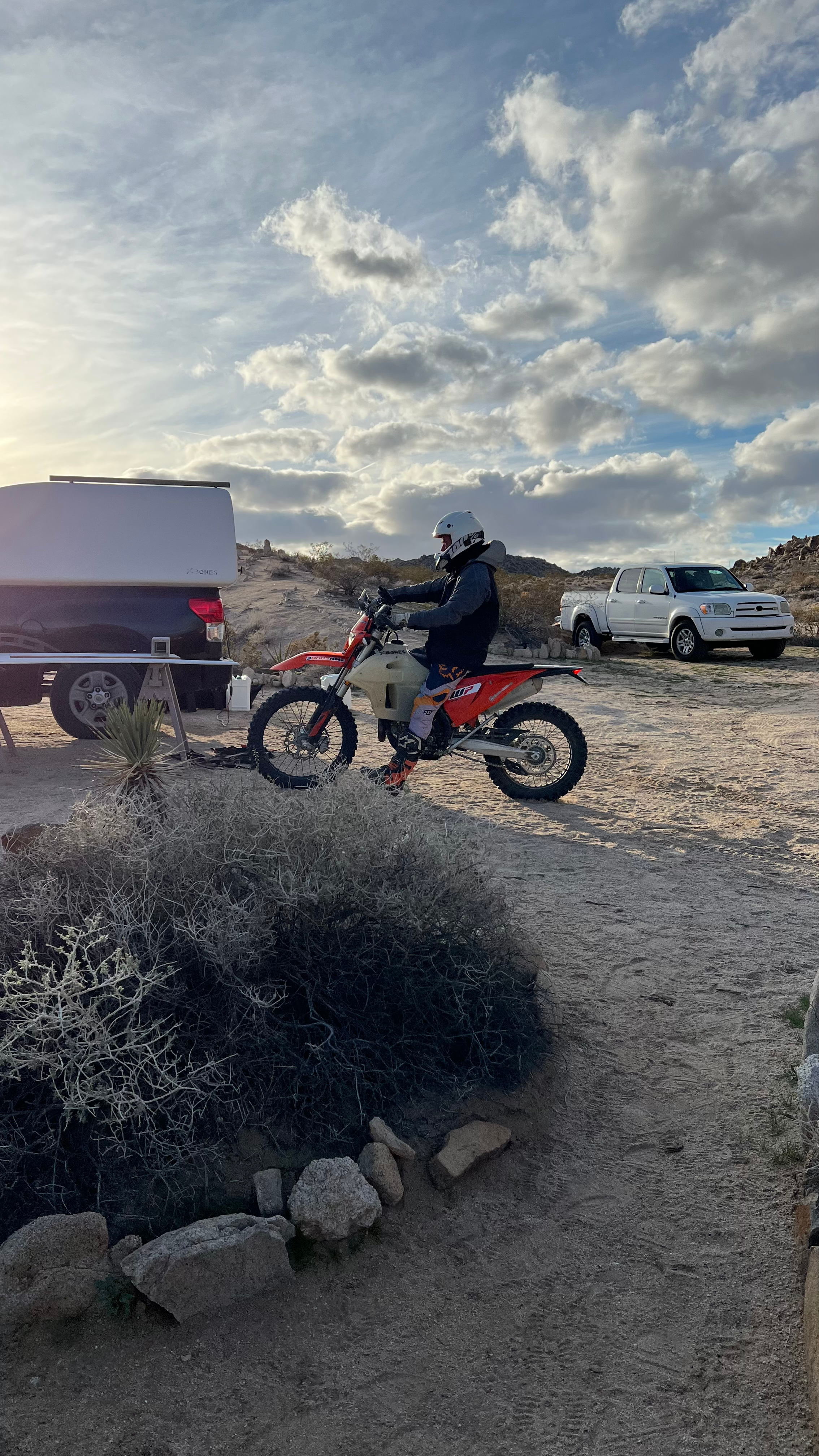 Xbone's Desert Life | Mojave Desert