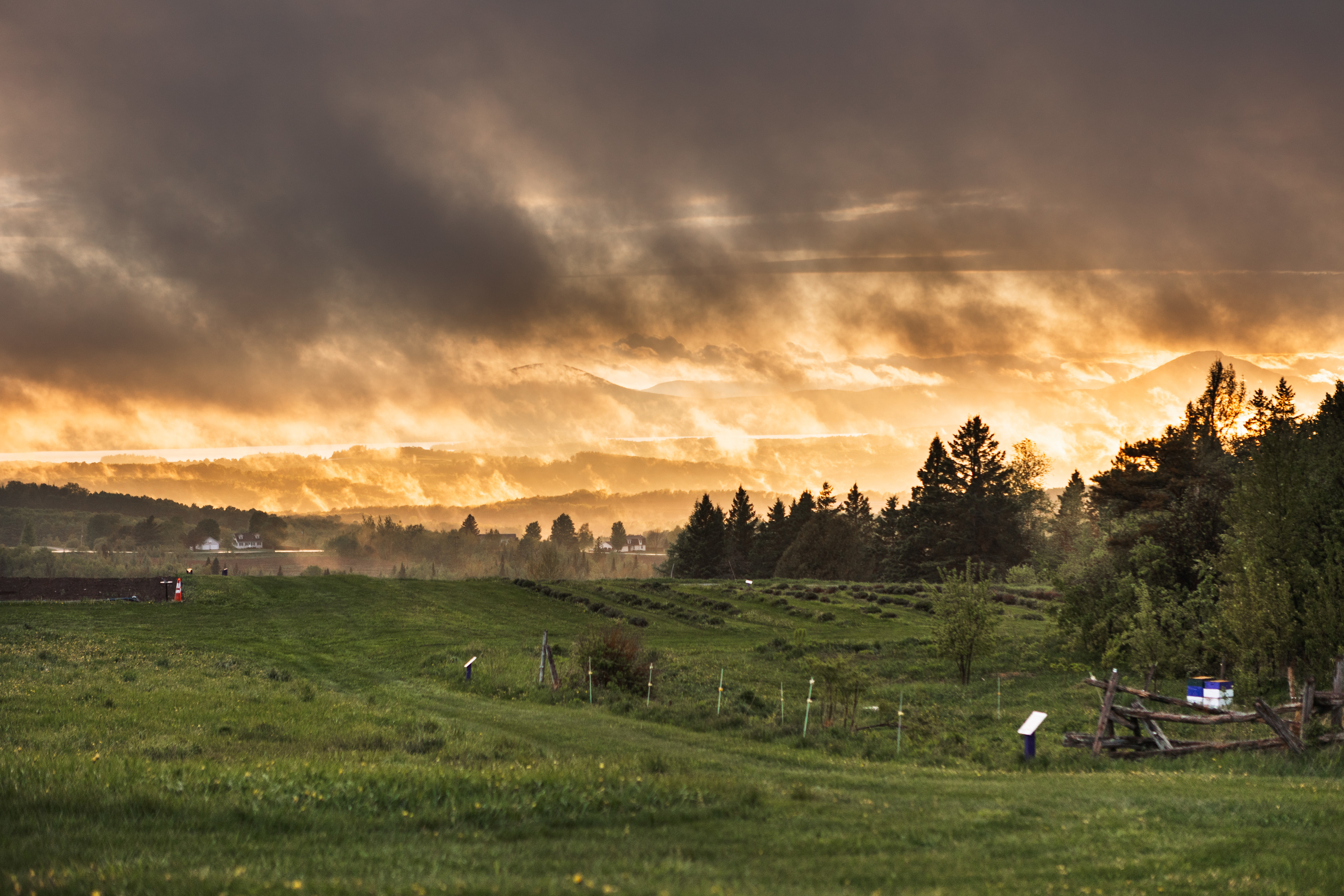 after the rain