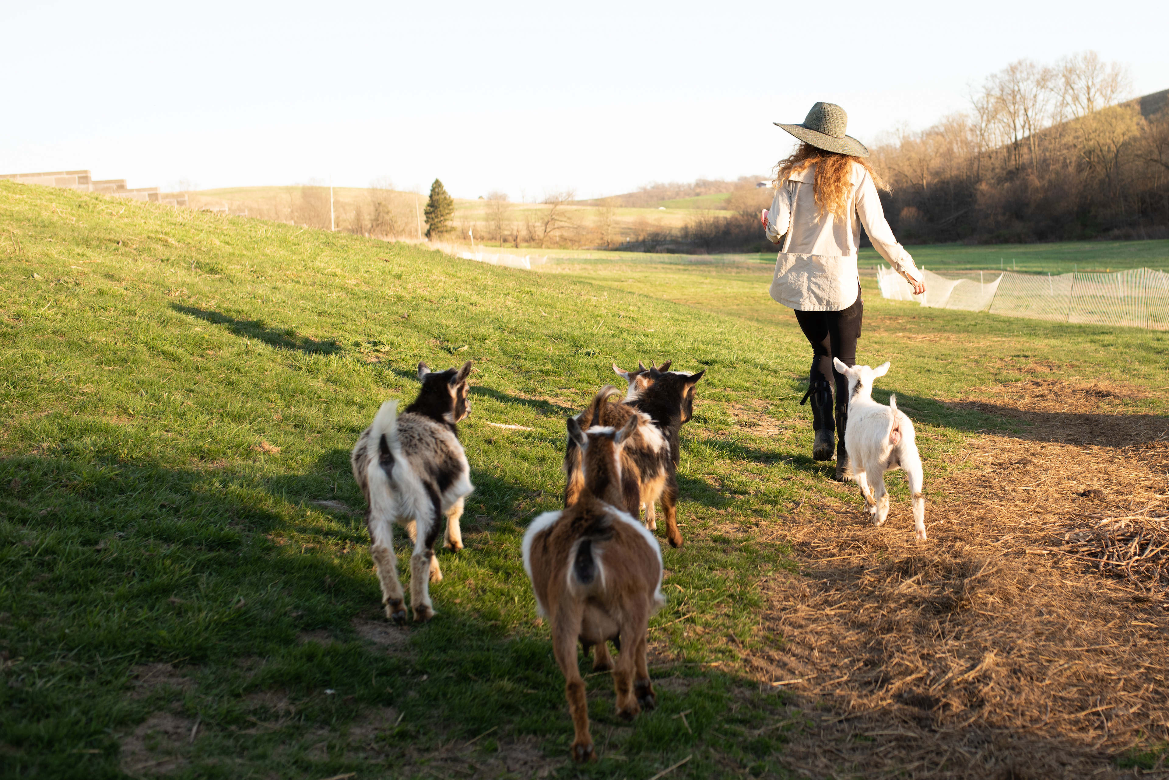 Evelyne’s Farm