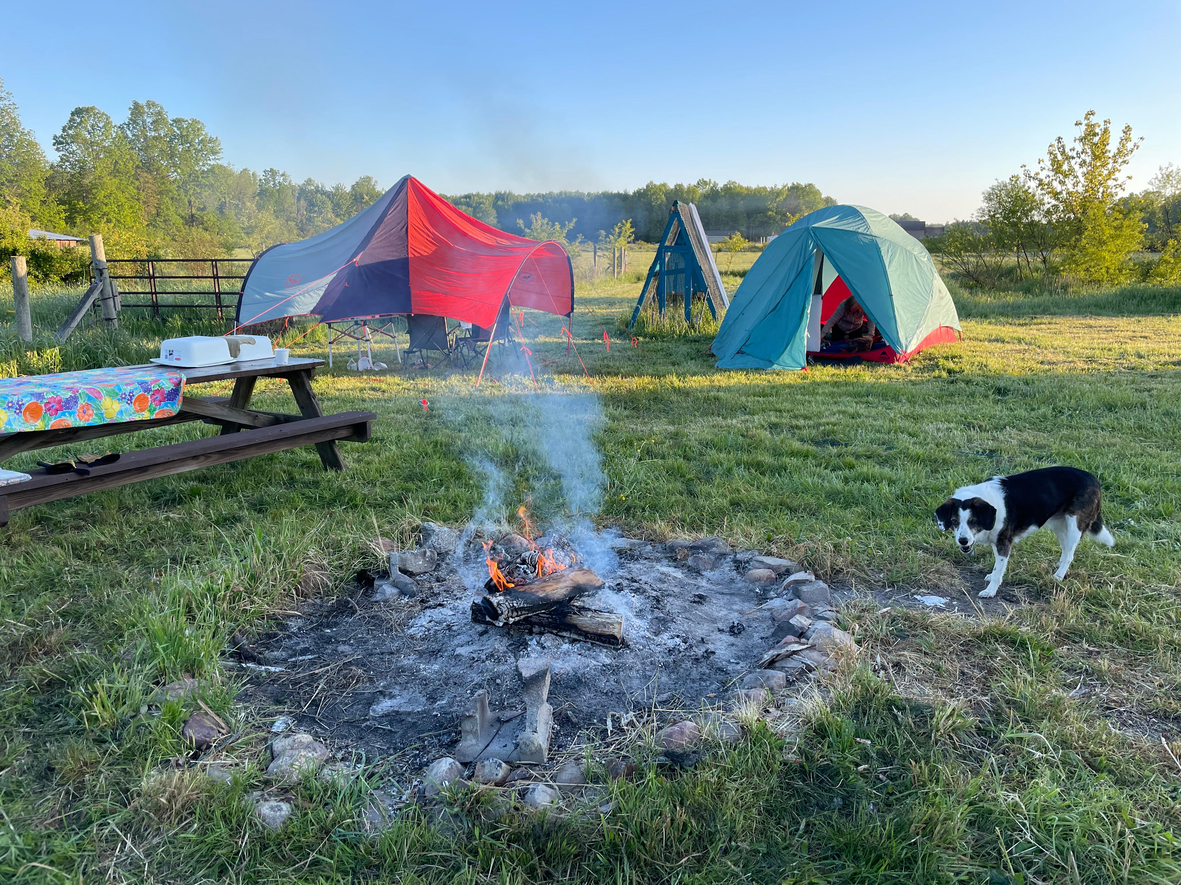 Large campfire ring. 