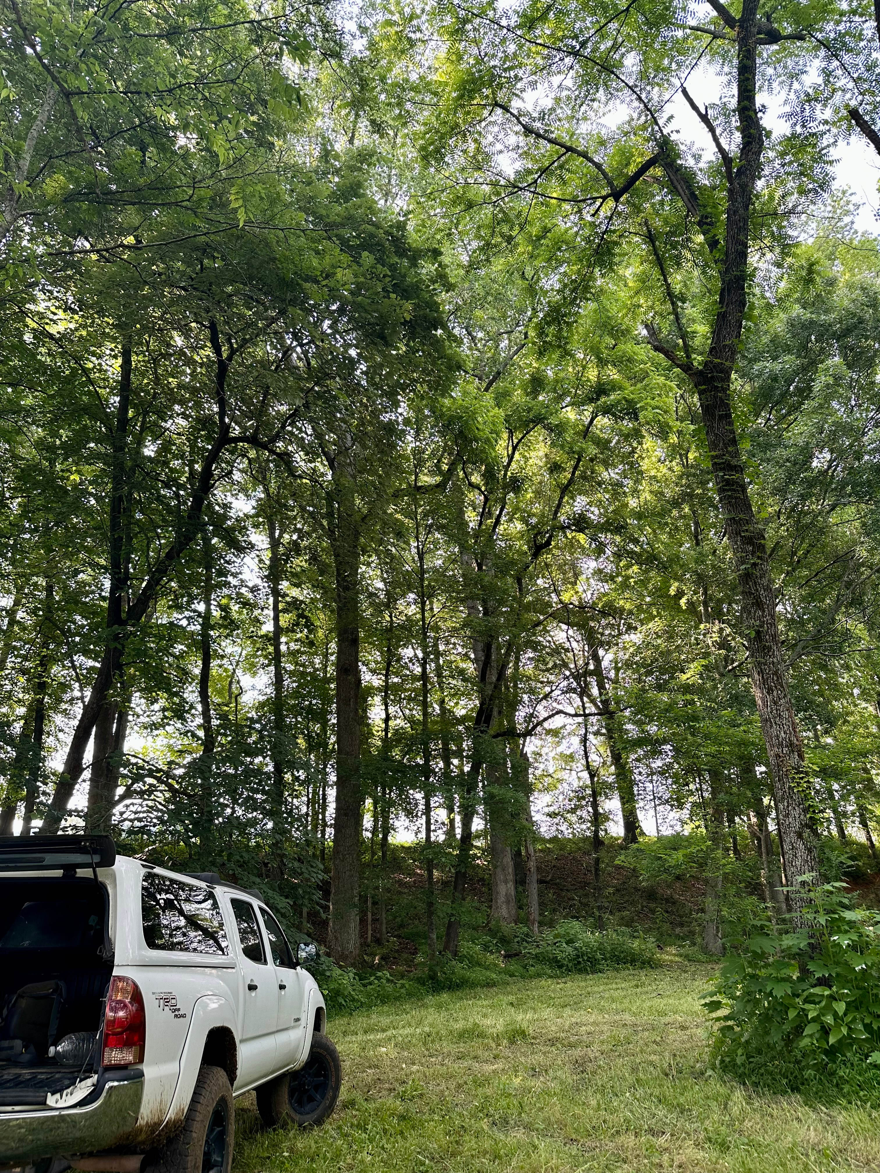 Cottaquilla Creek Campground