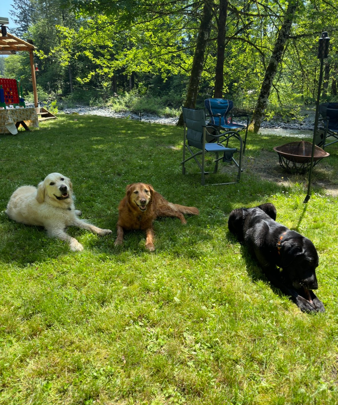 Marvin N’s River Mountain Oasis