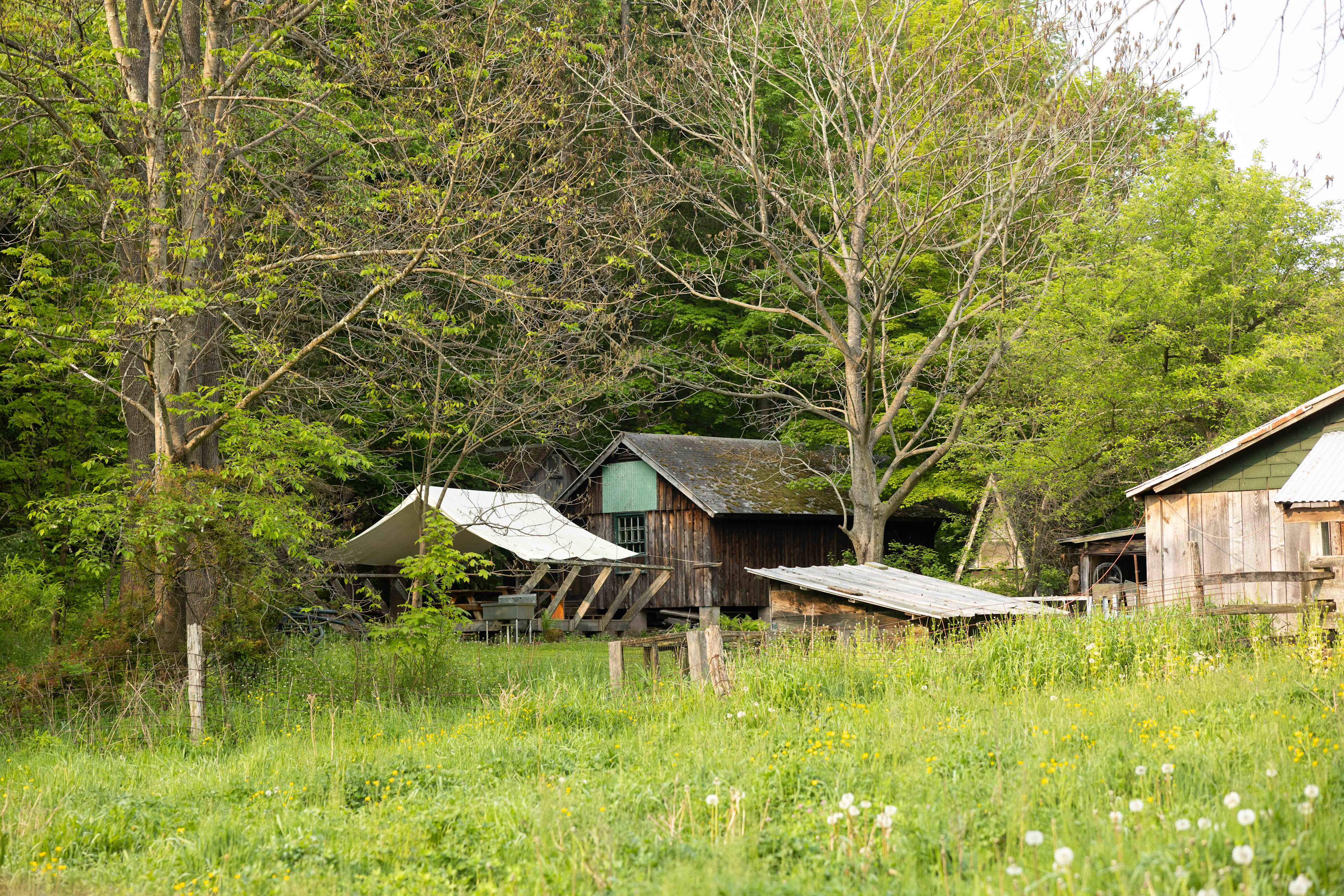 back view of the cabin from across a field