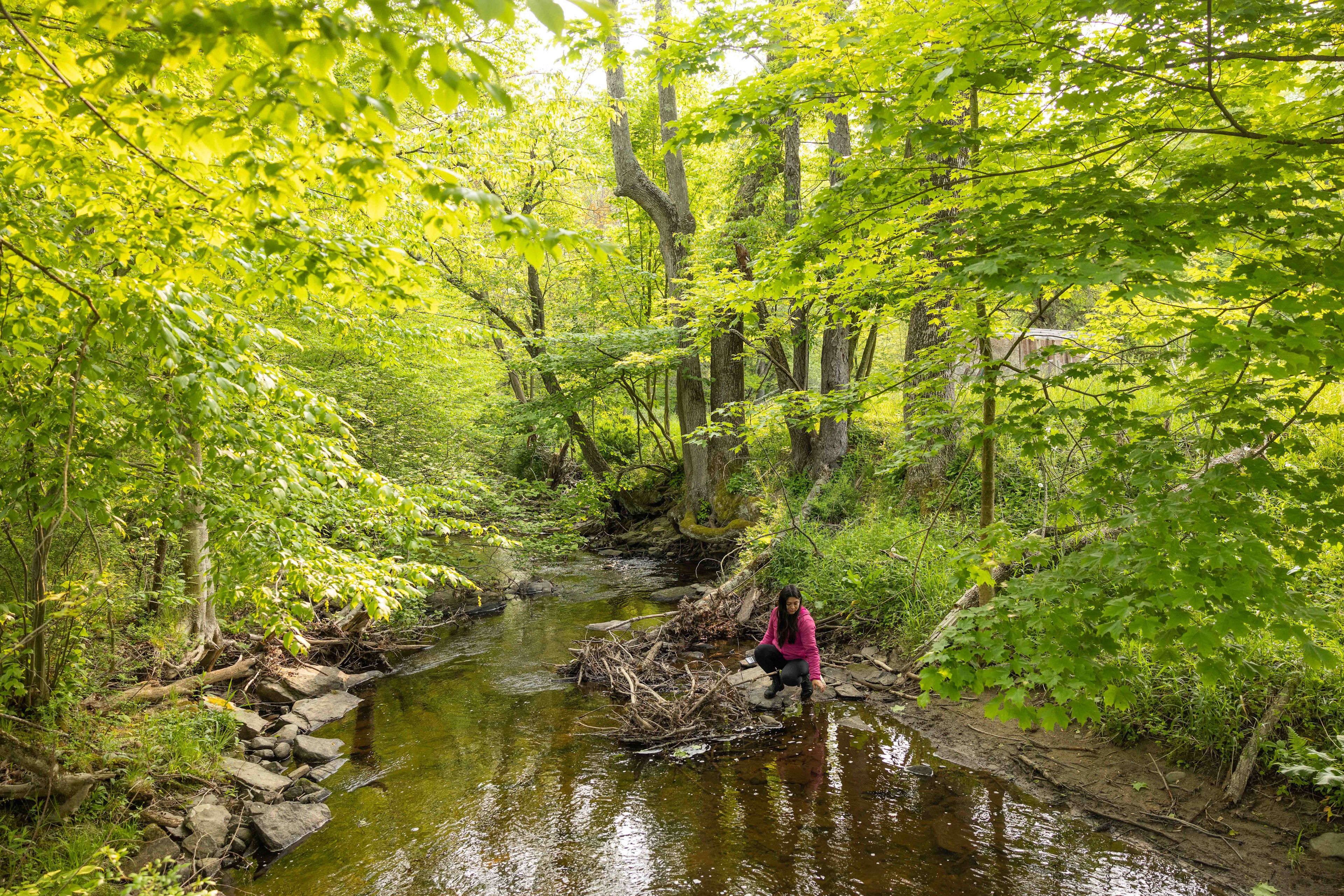 creek running through the middle of the property