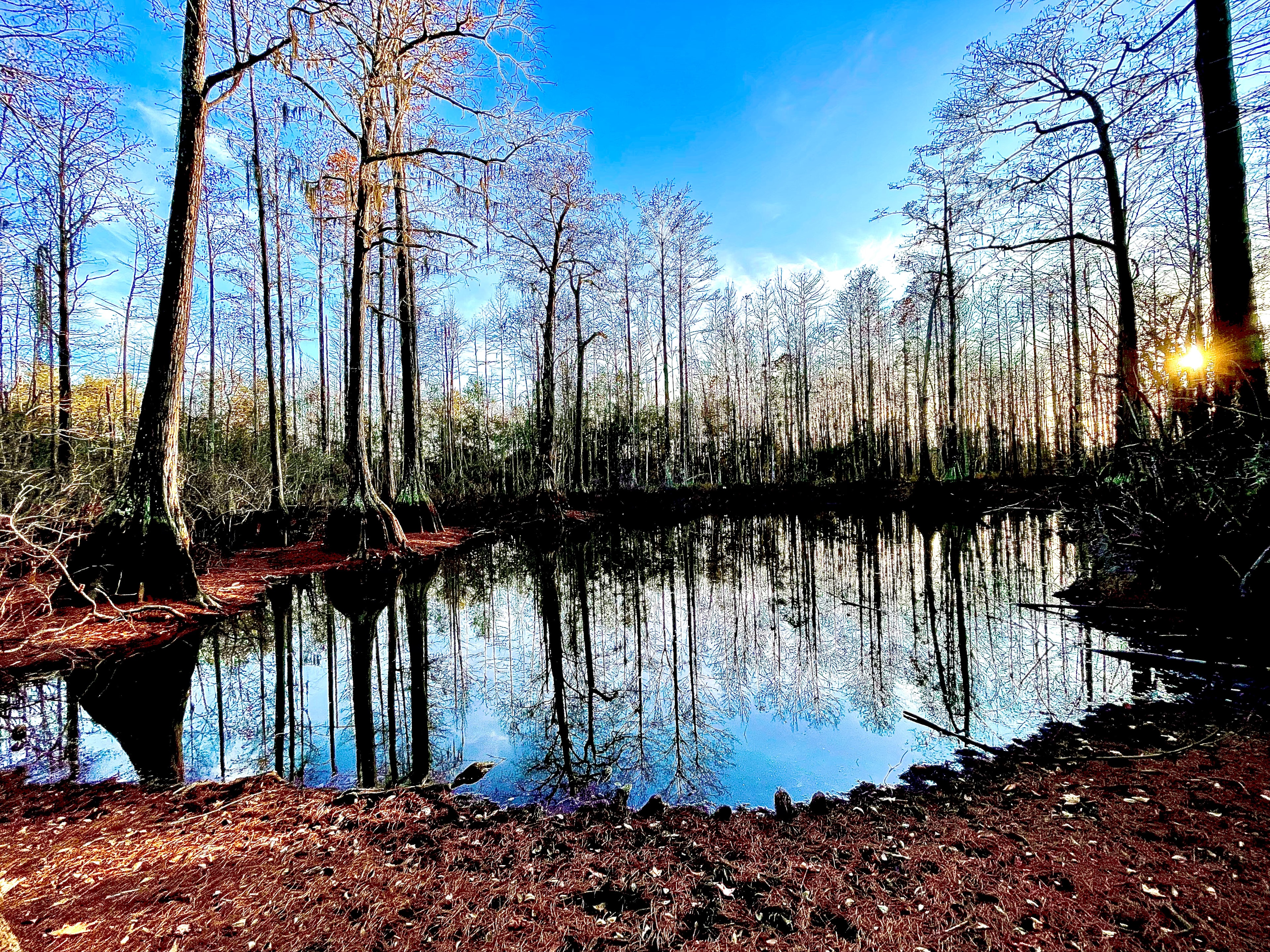 Hidden Cypress Farm LLC, Campground