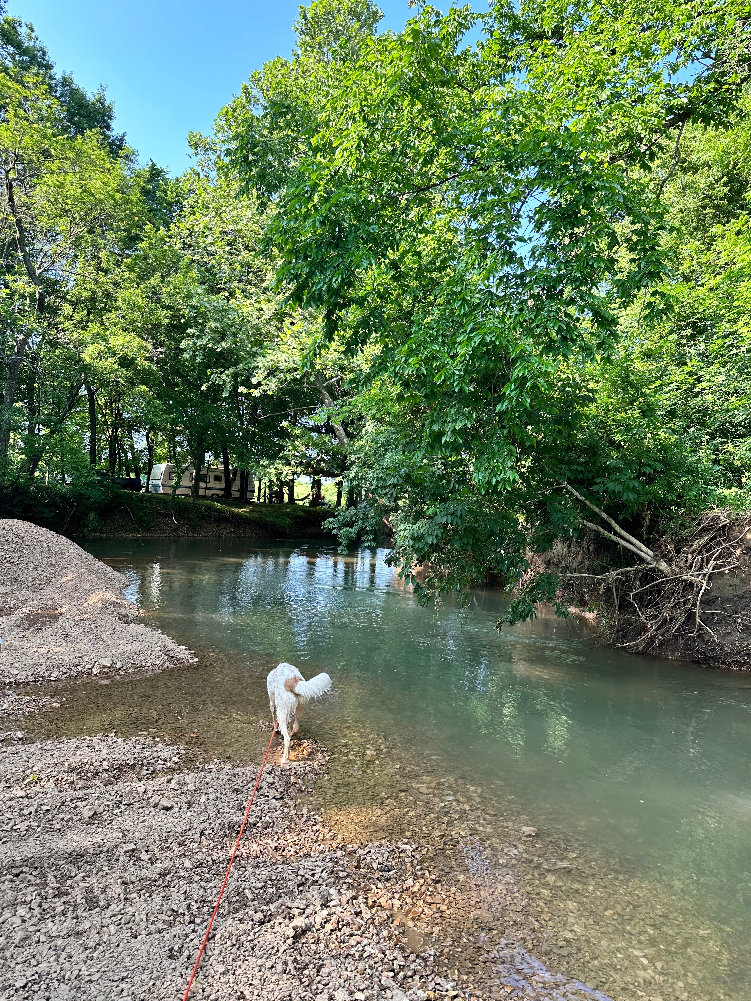 Buehler Farms Glamp site 1
