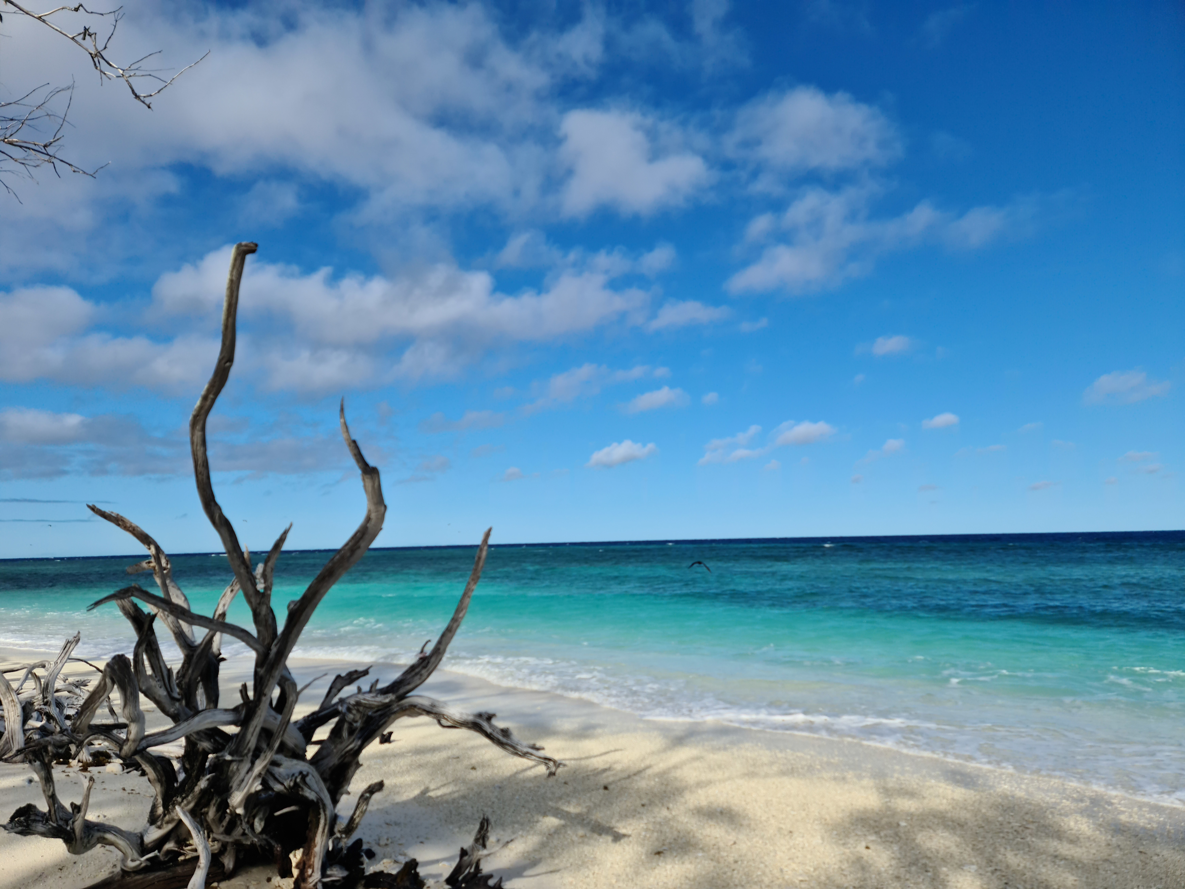 A 2hr boat ride from 1770 is beautiful Lady Musgrave Island. Check out Creek to Reef a local charter boat run by Tony and Sandy. They offer snorkel and Island tours. 