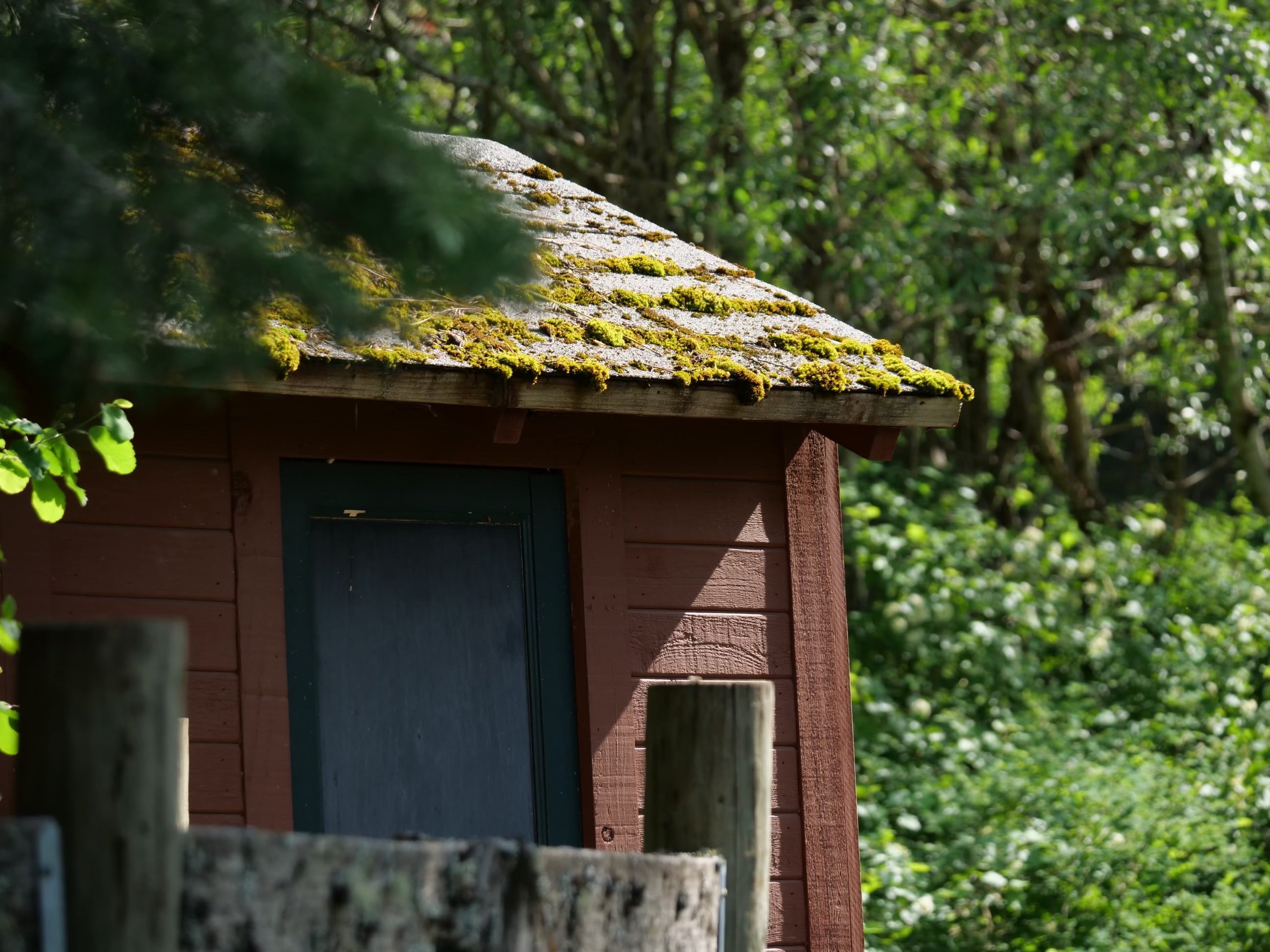 David's Hodge Podge Lodge Camping