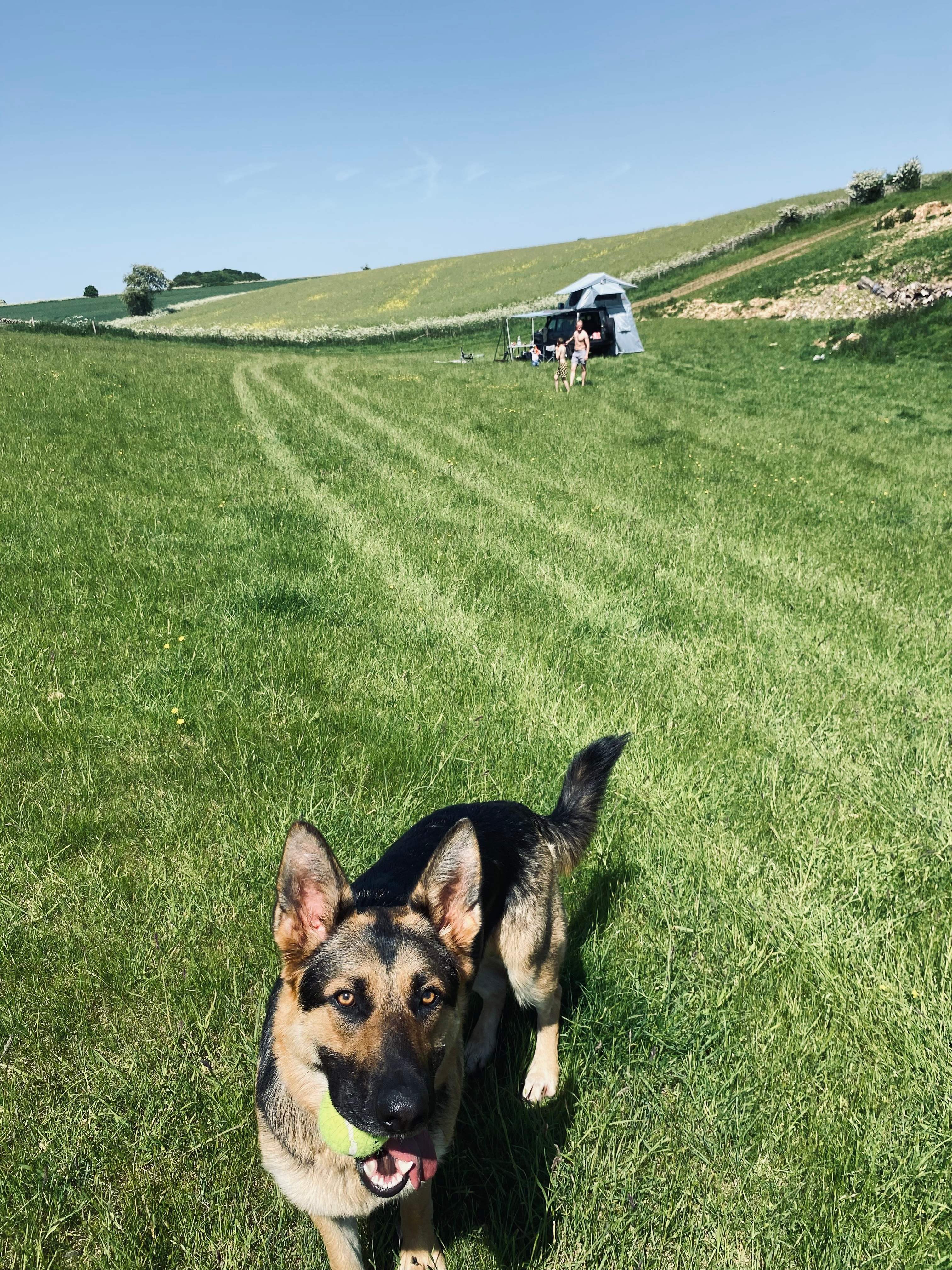 Wild Camping in the Cotswolds