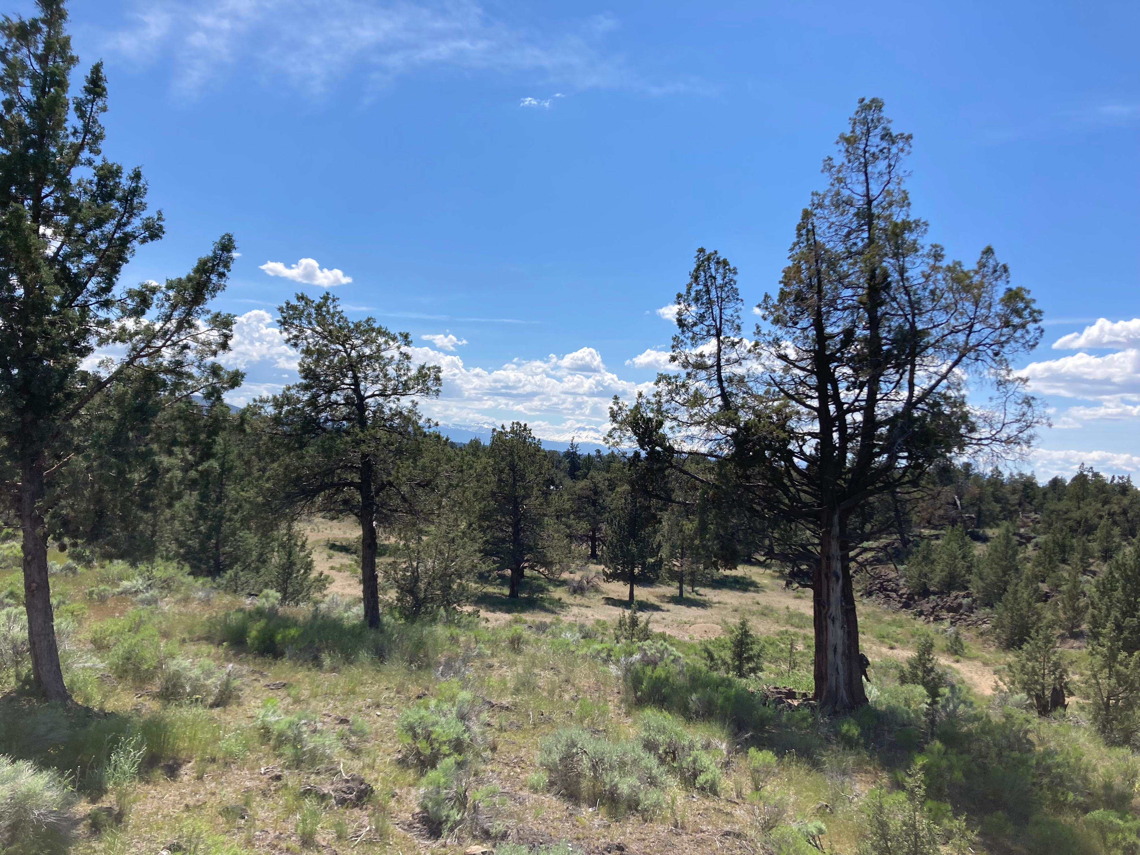 Zoom in if you can. There’s beautiful mountains in the background. 