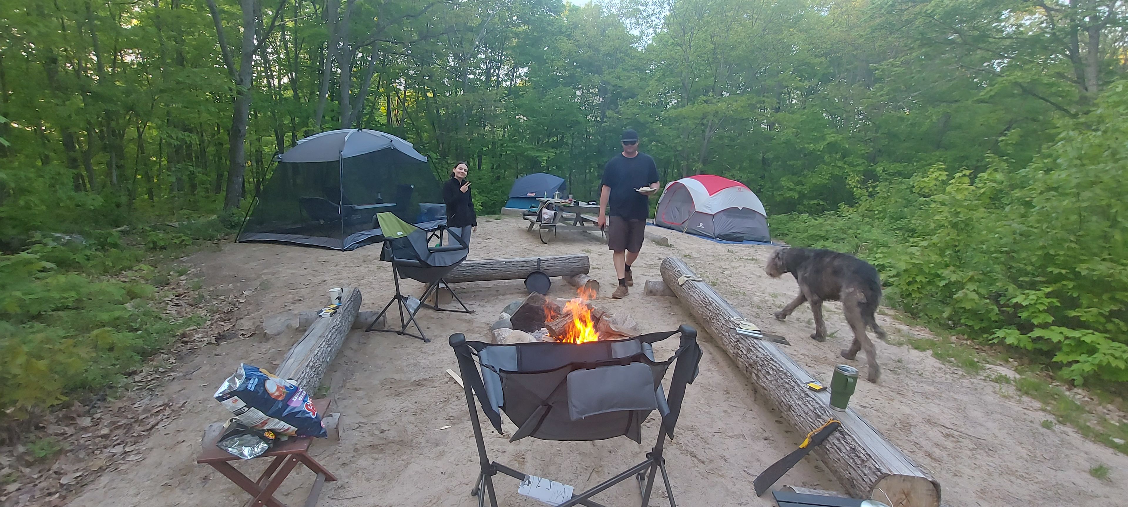 That Place on Limberlost