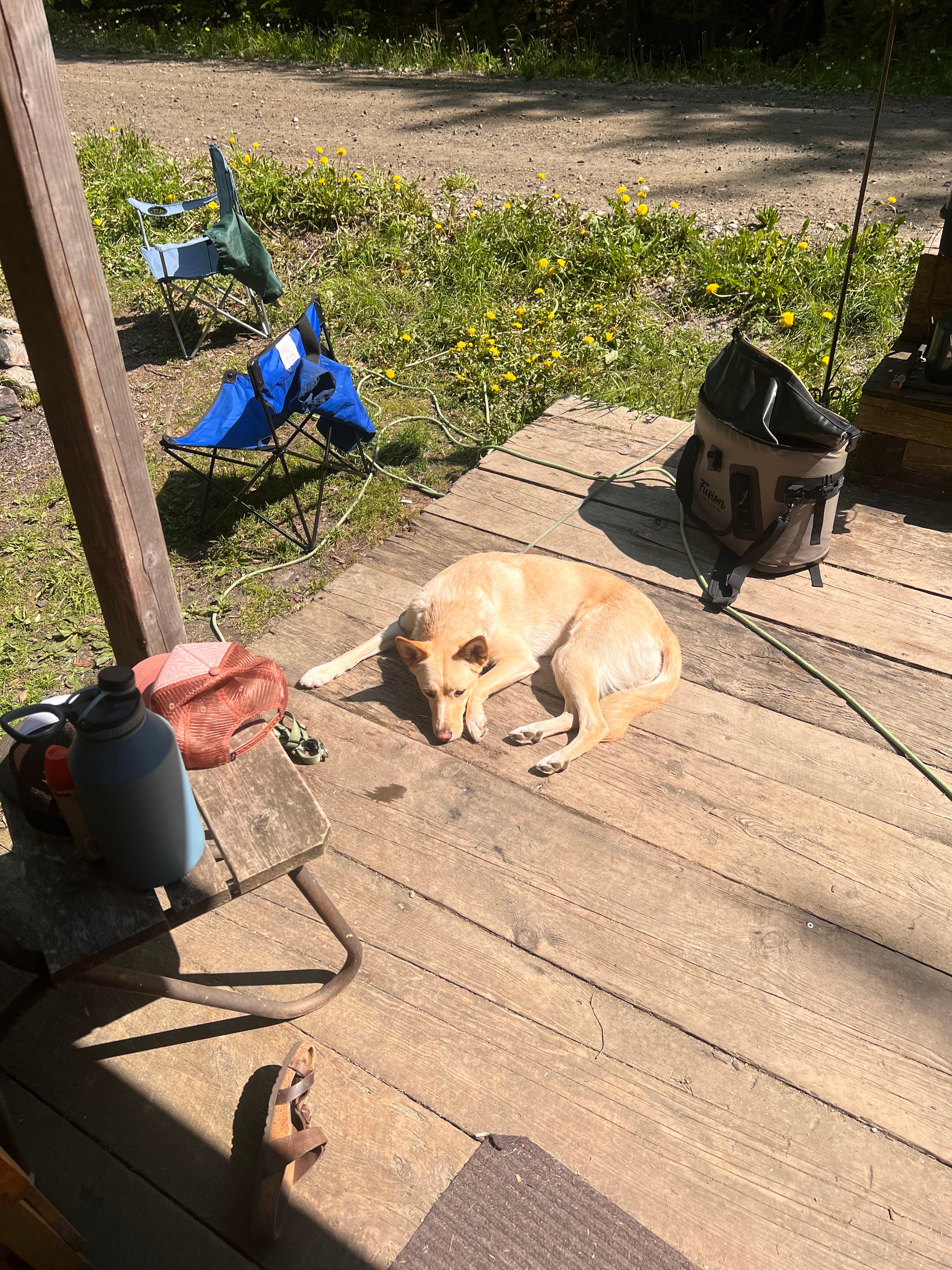 Little Log Cabin in Vermont