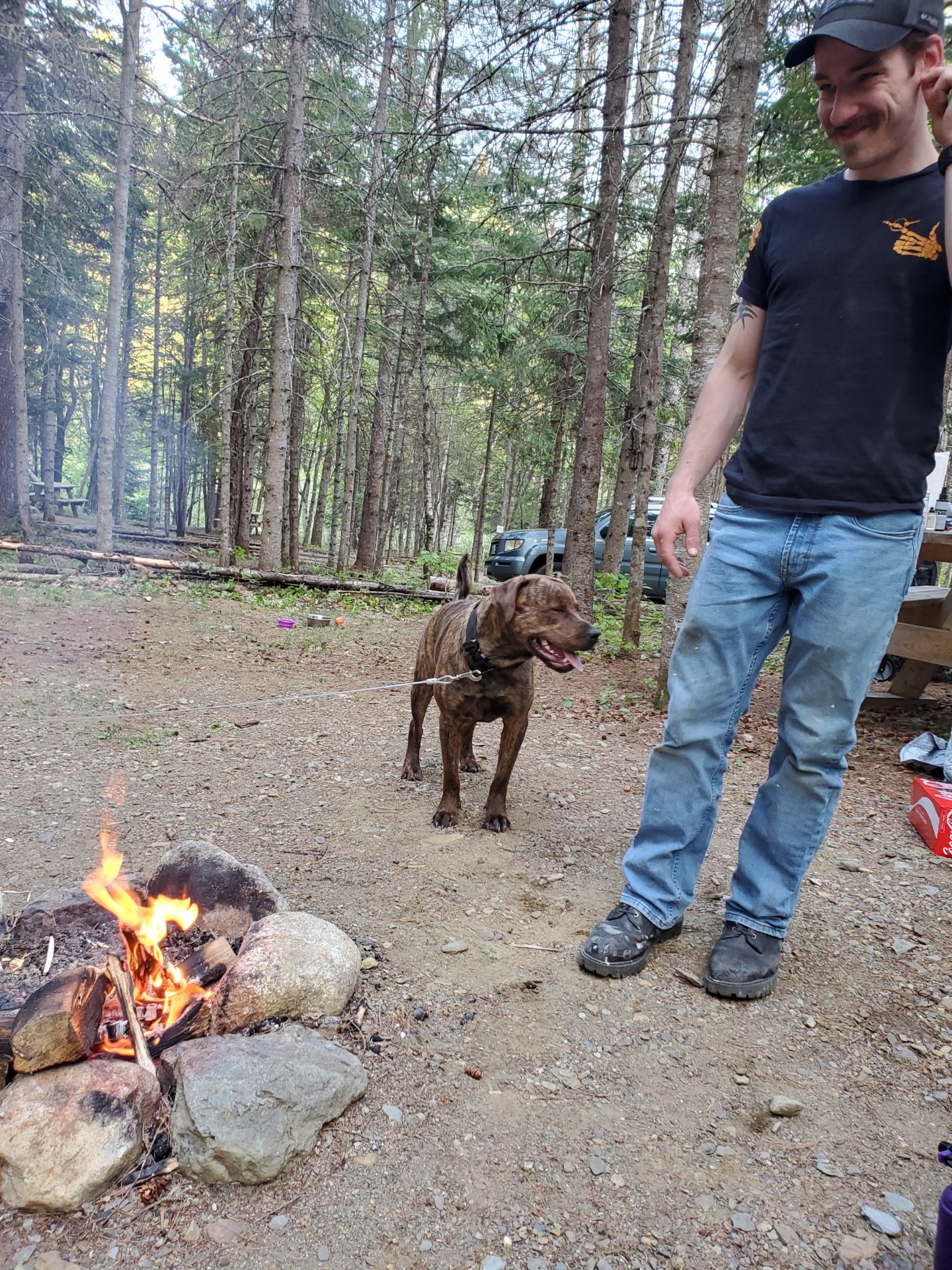 Mountain View Motel & Campground