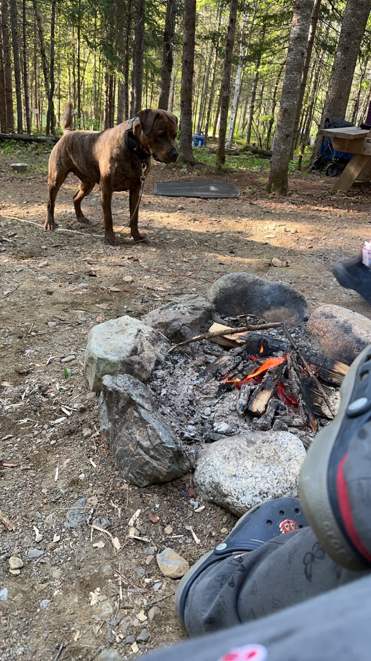 Mountain View Motel & Campground