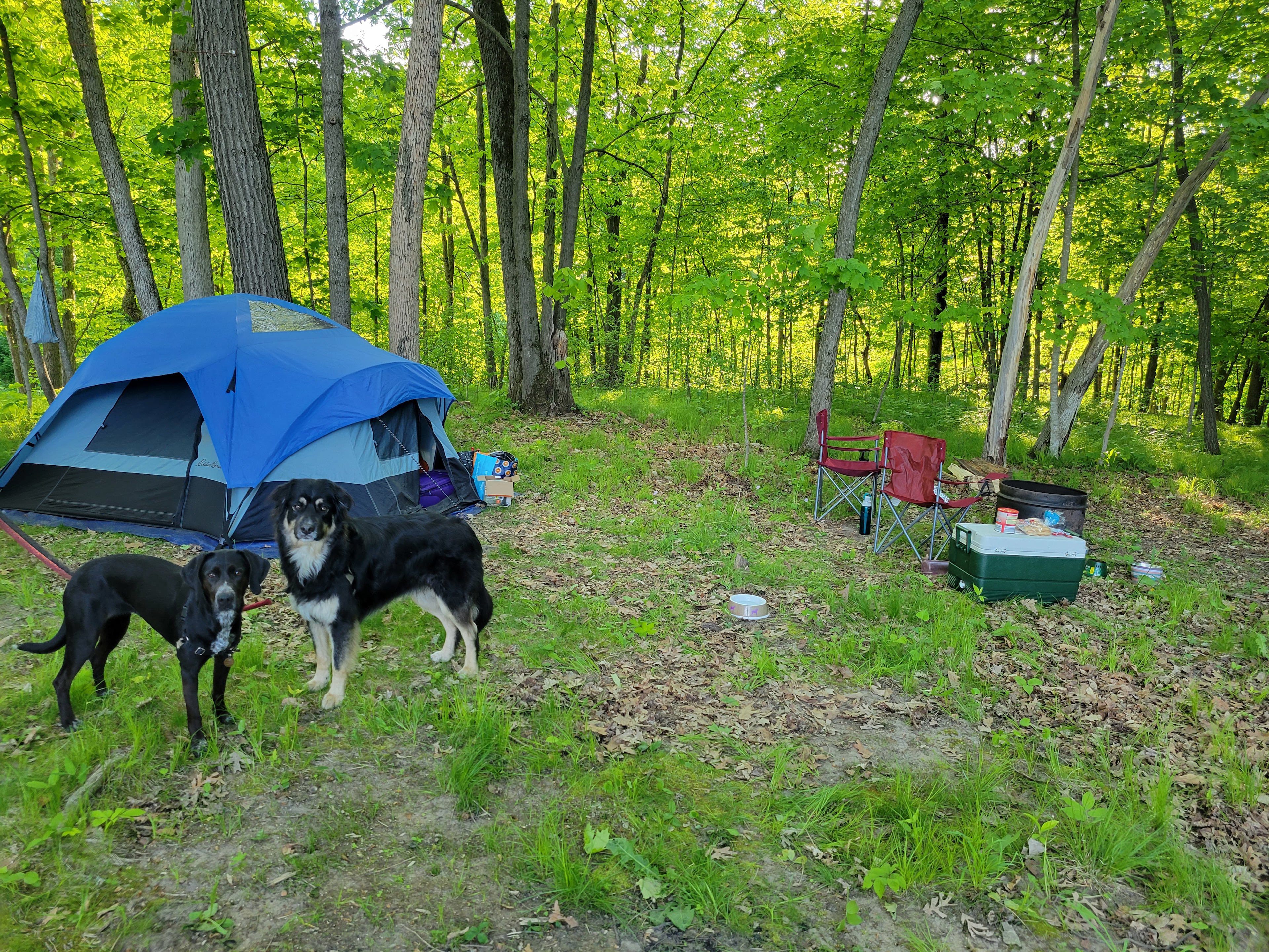 WHY Camp Worth Healing Yourself