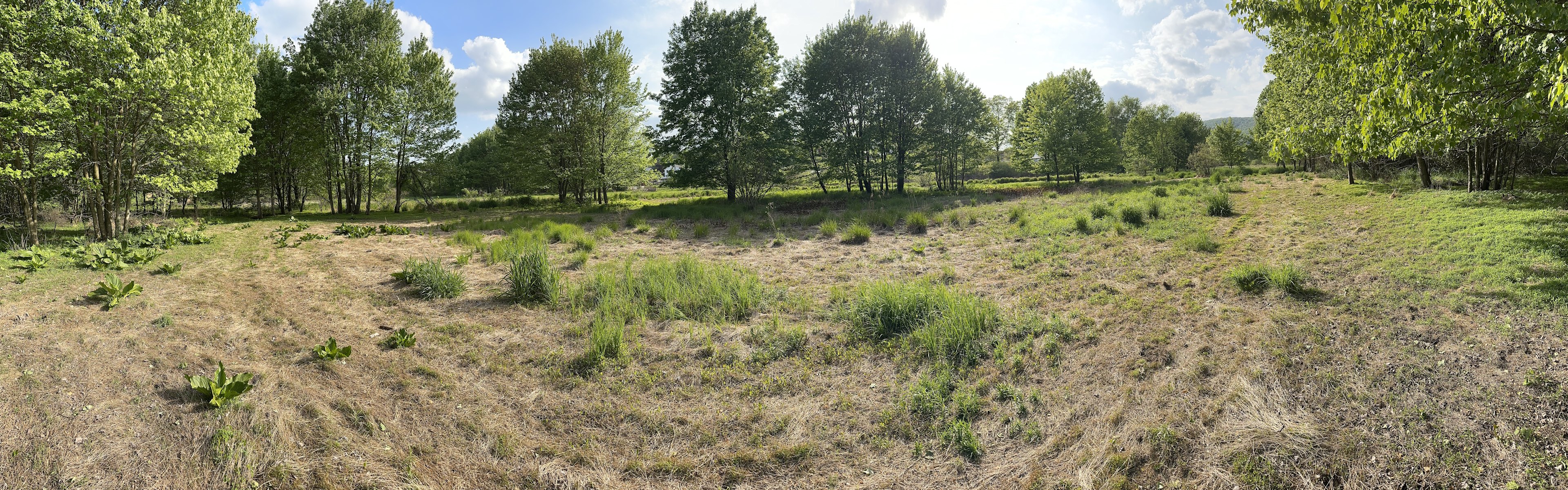 Blue Hill Acres