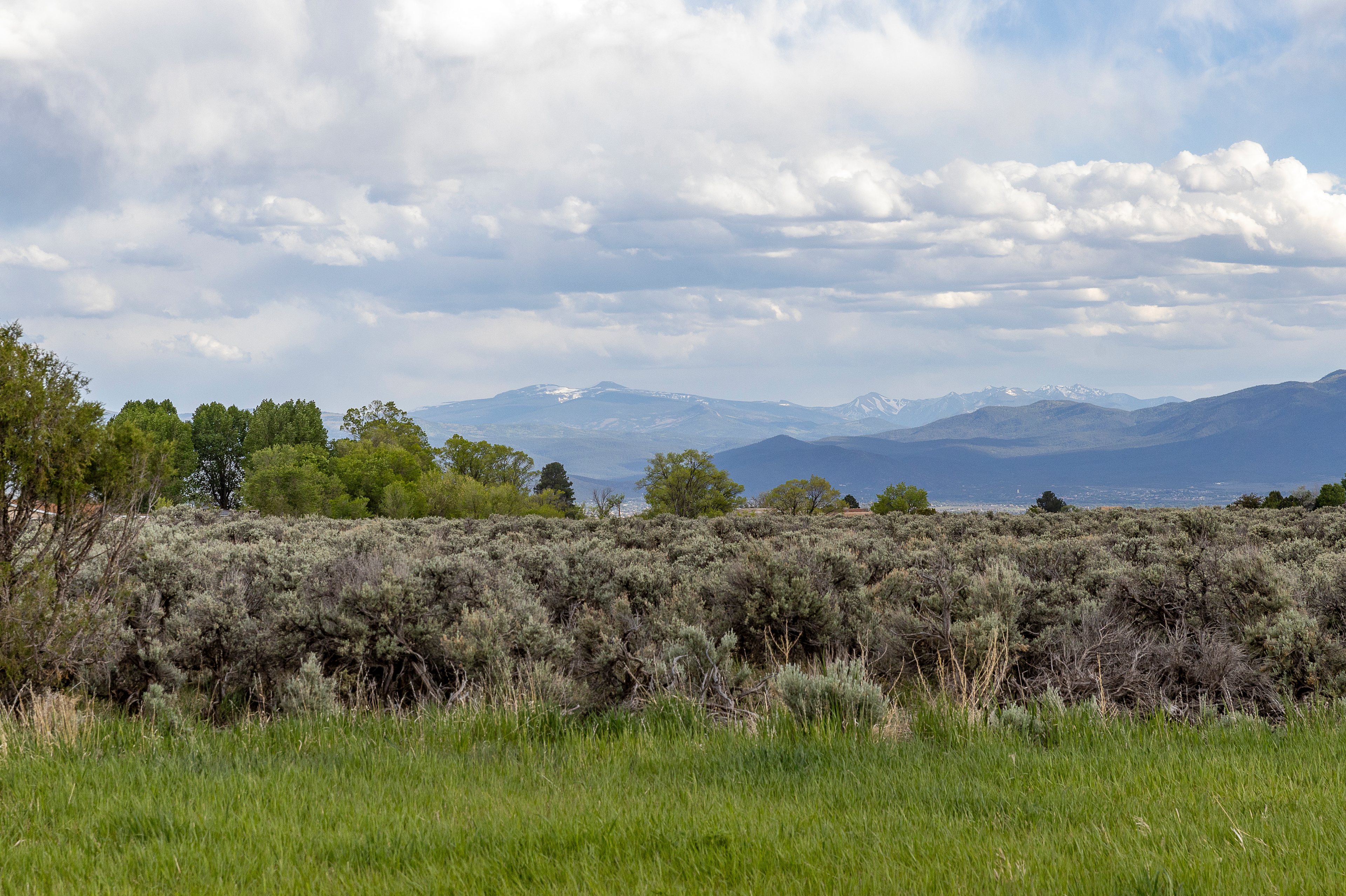 Dragonfly Mountain Ranch