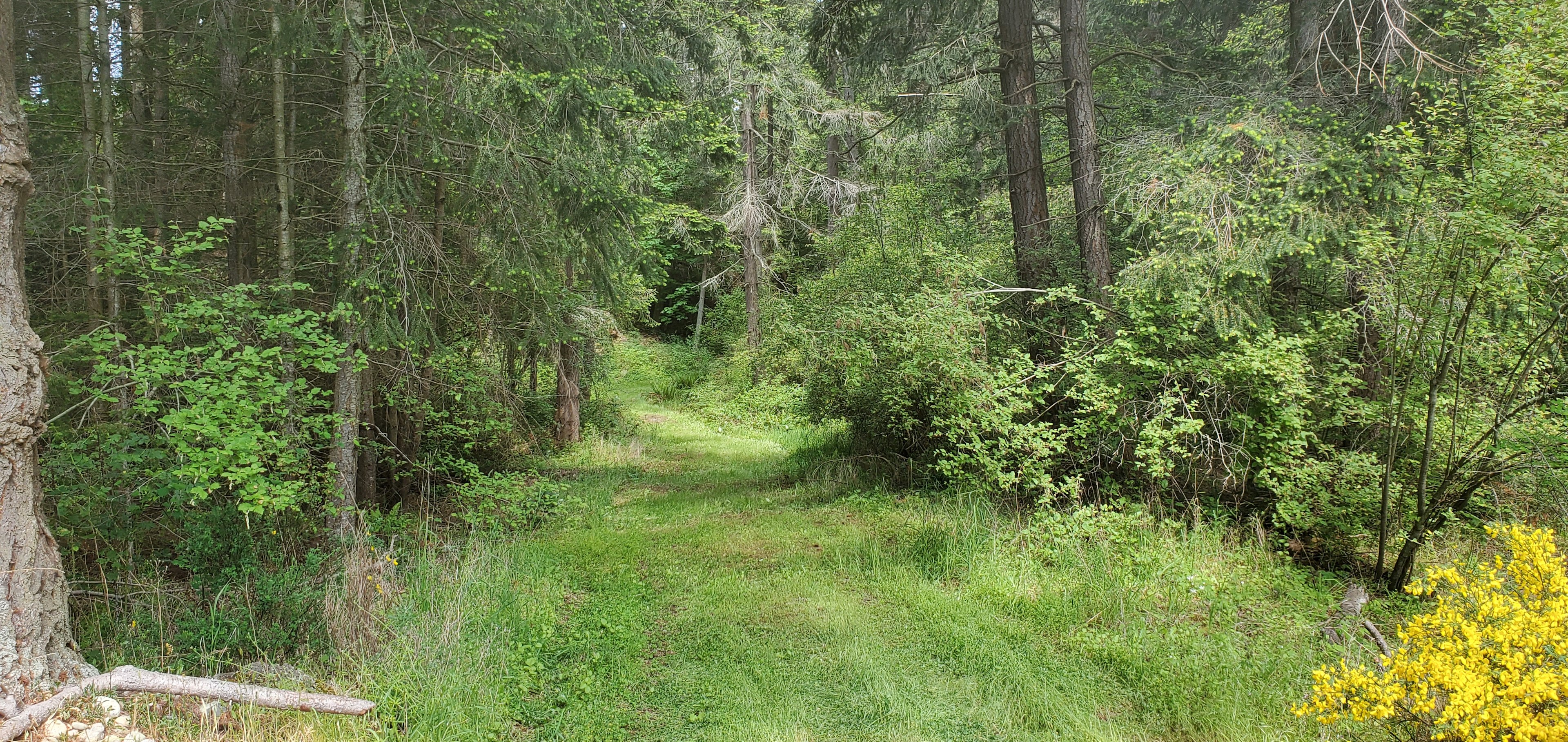 Road into the quarry campsite.