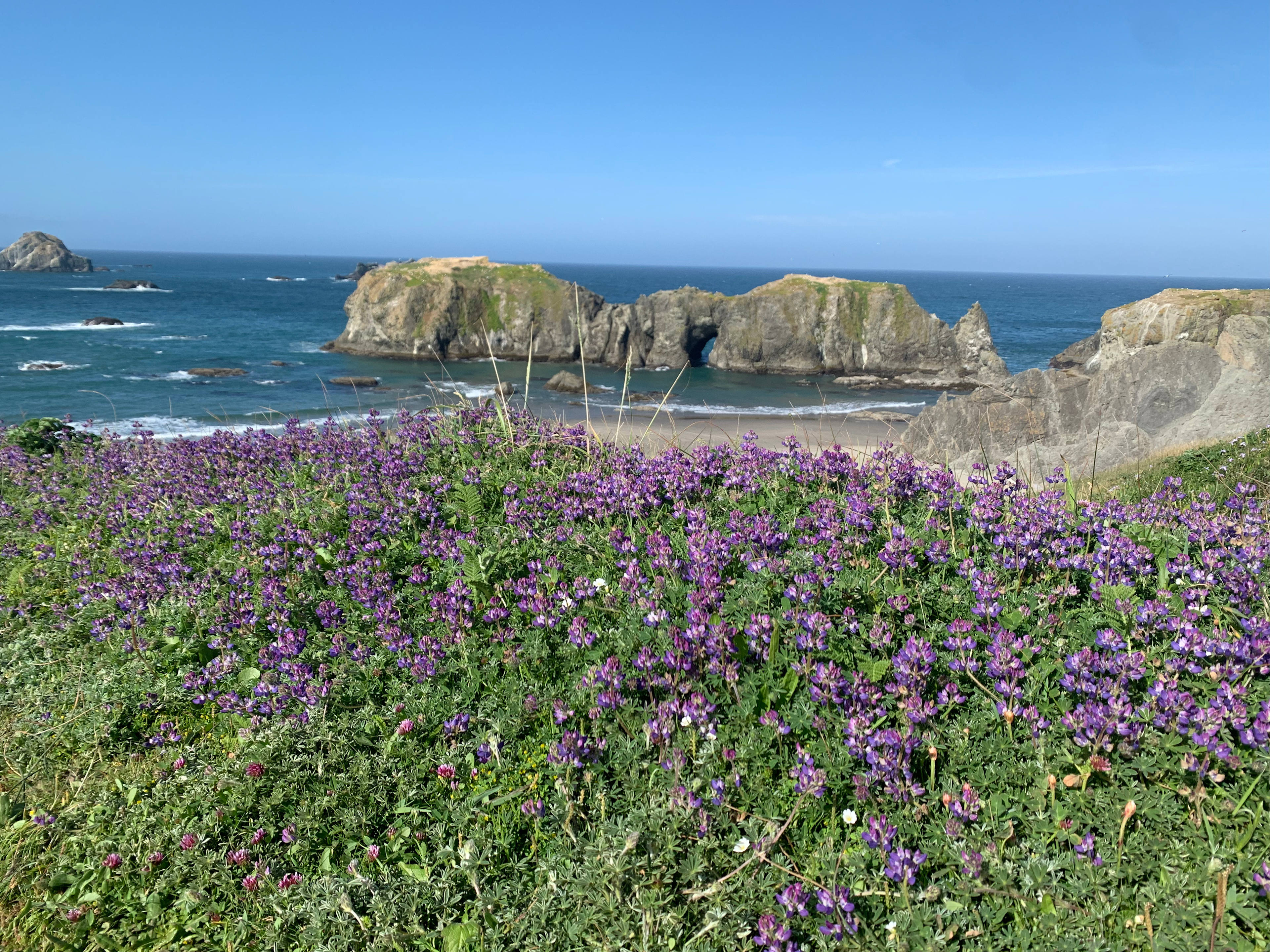 Dew Valley Ranch Nature Retreat