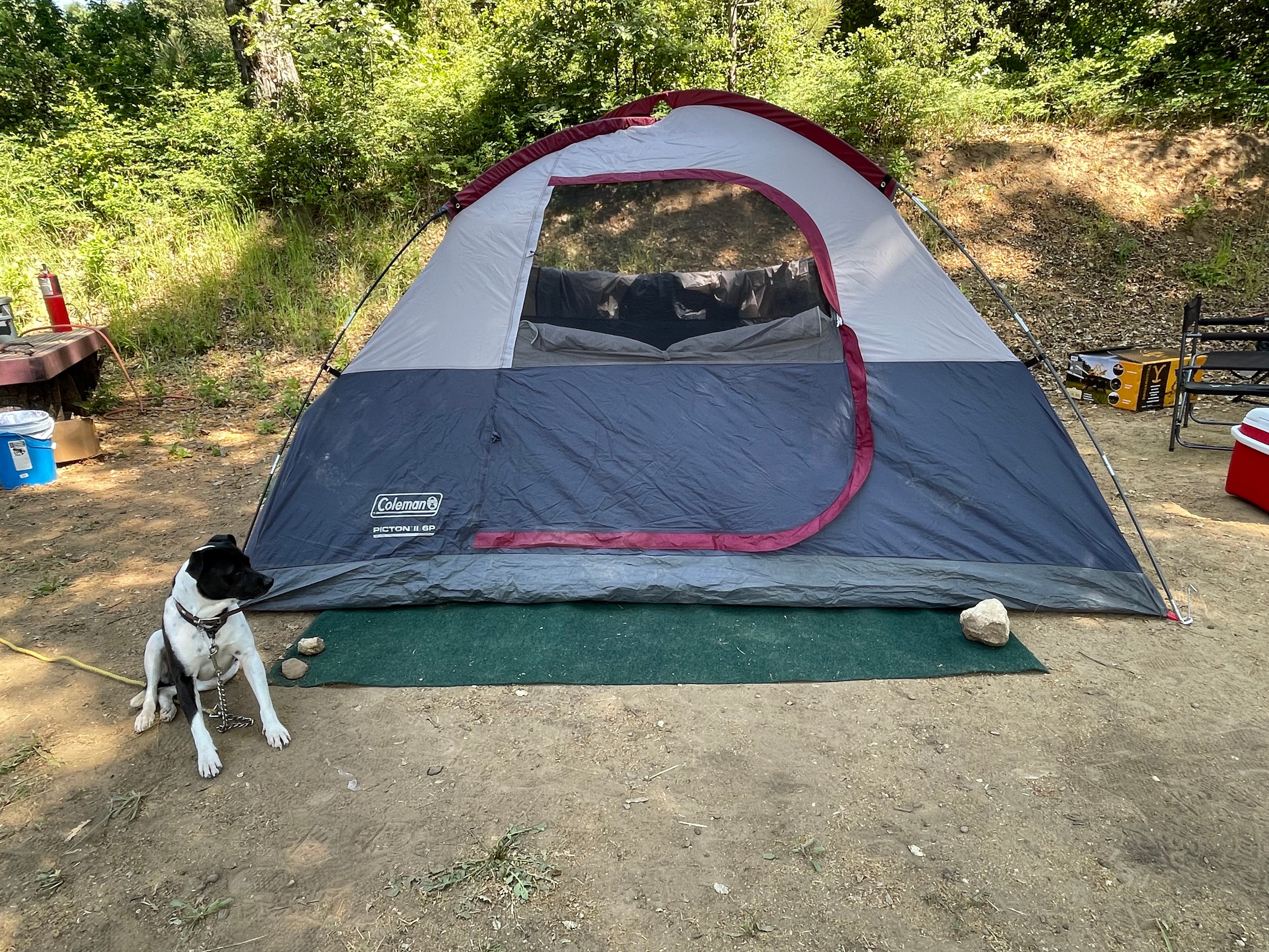 Taste of Nature and Wildlife