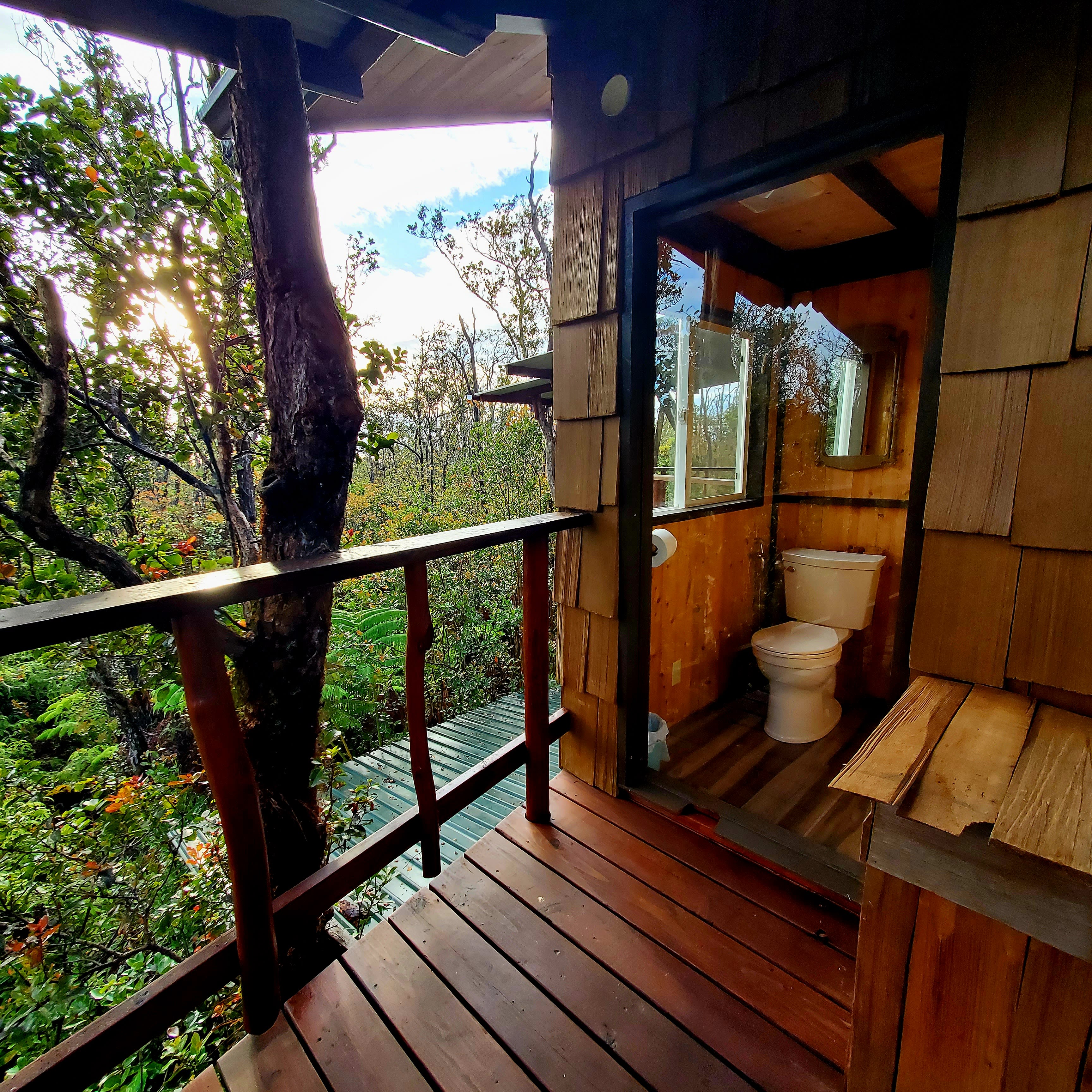 TreeHouse in canopy of trees