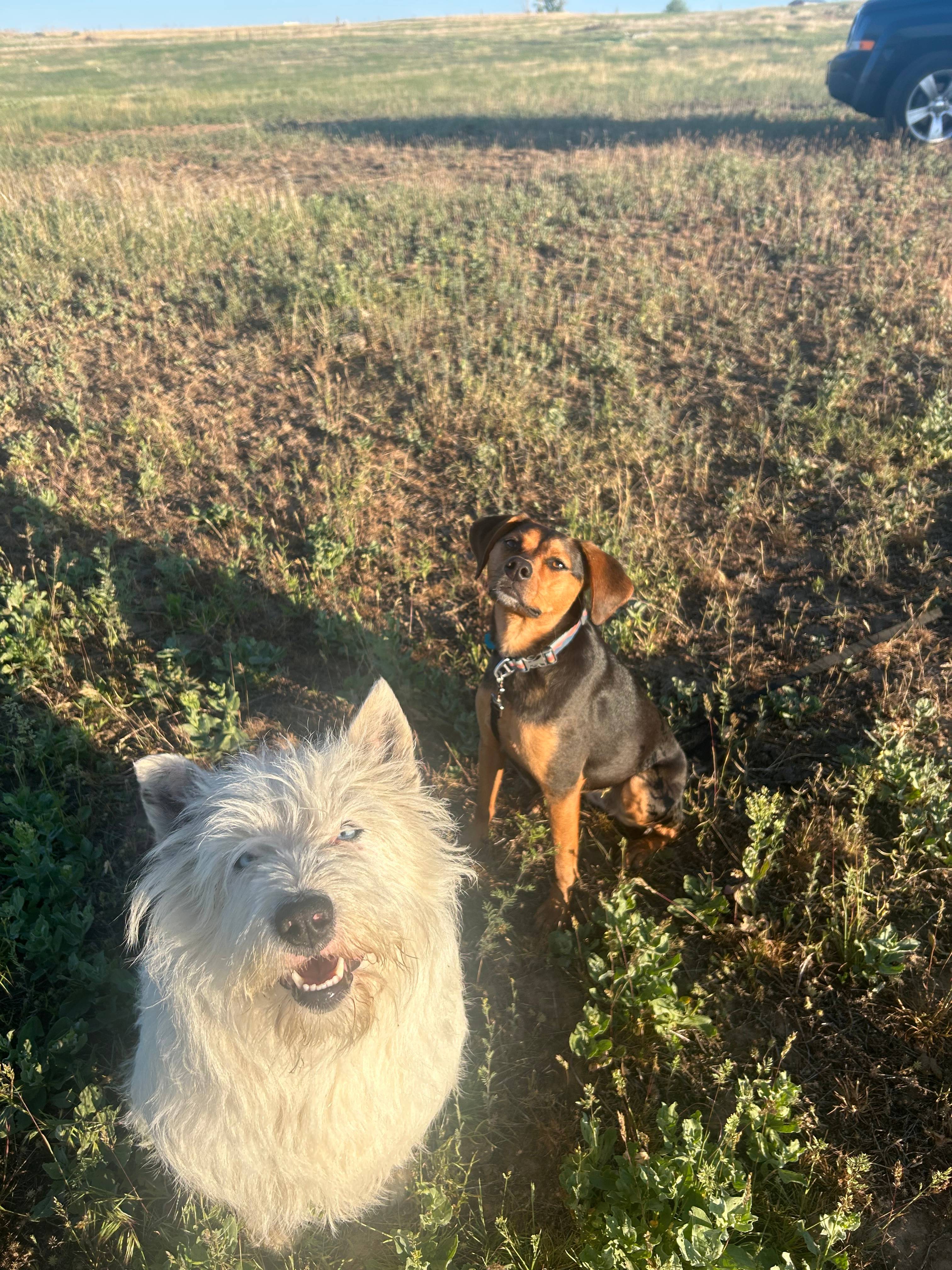 Brasil Beef RV & Tent Camping 🏔